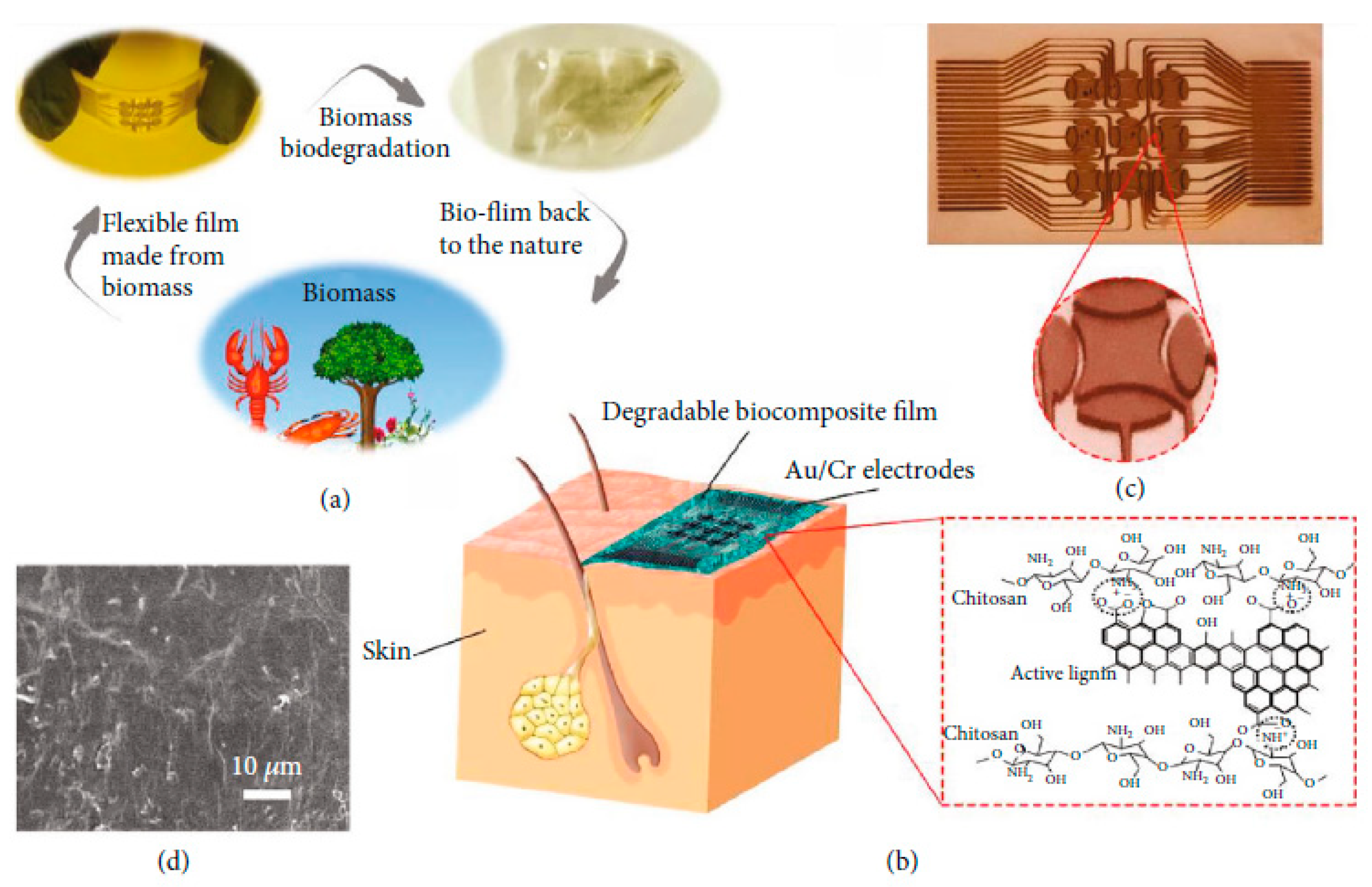 Sensors 20 05898 g038