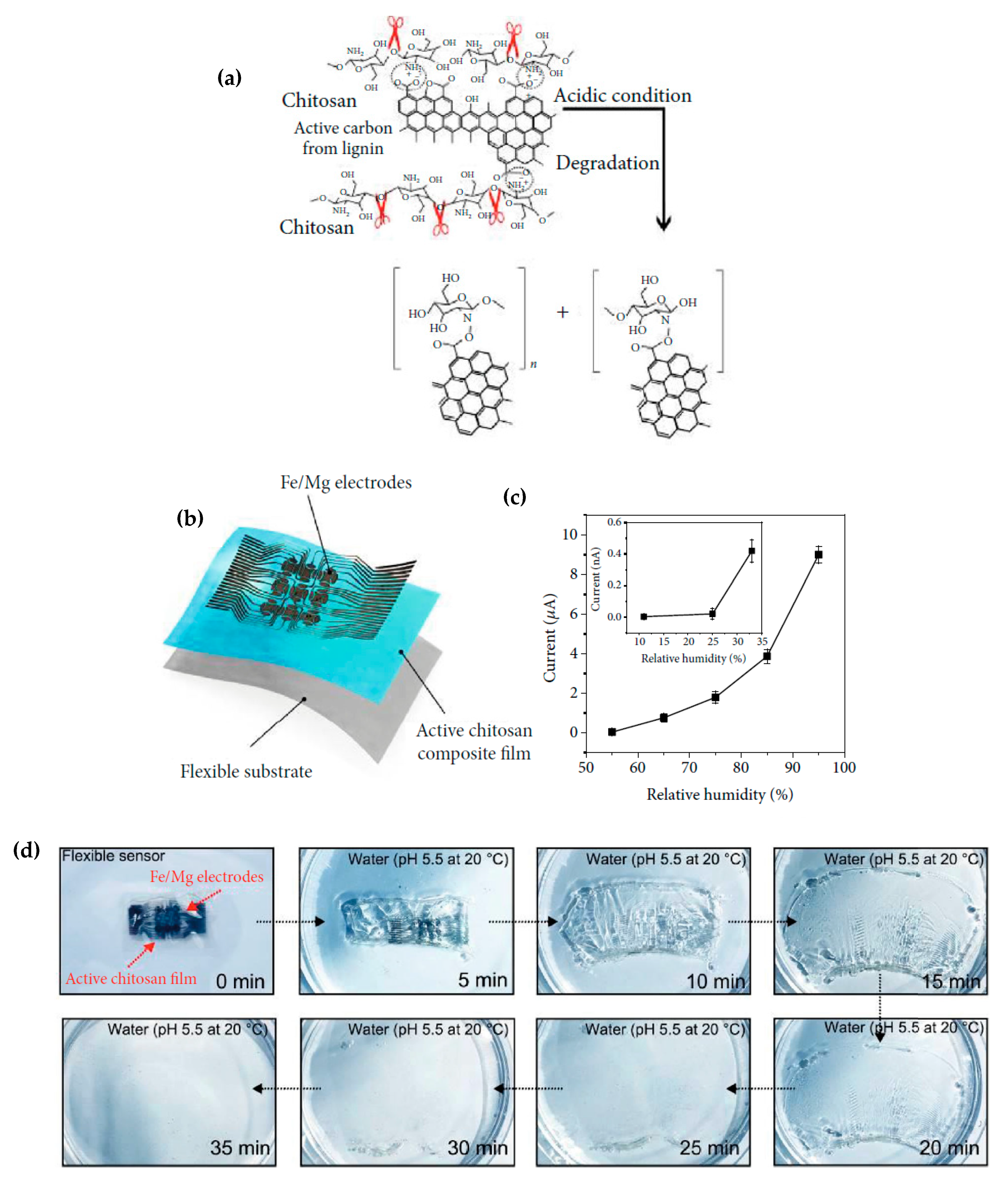 Sensors 20 05898 g039a