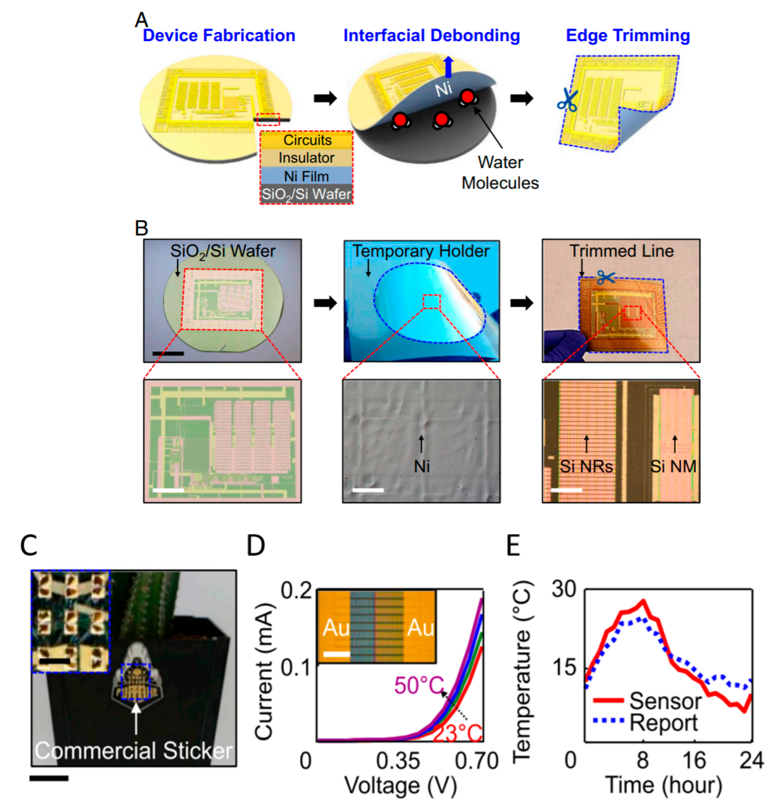 Sensors 20 05898 g043
