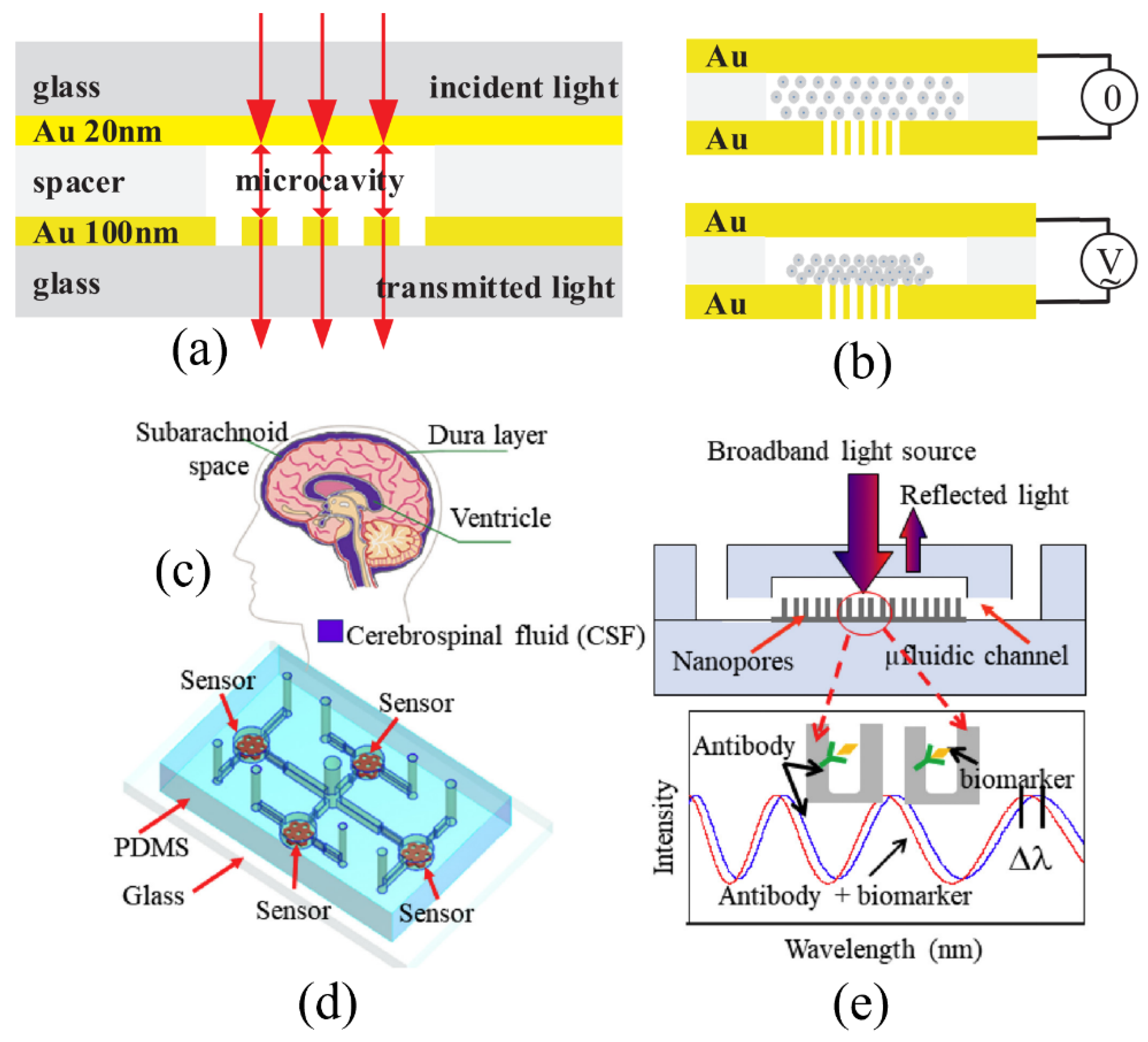 Sensors 20 05901 g003