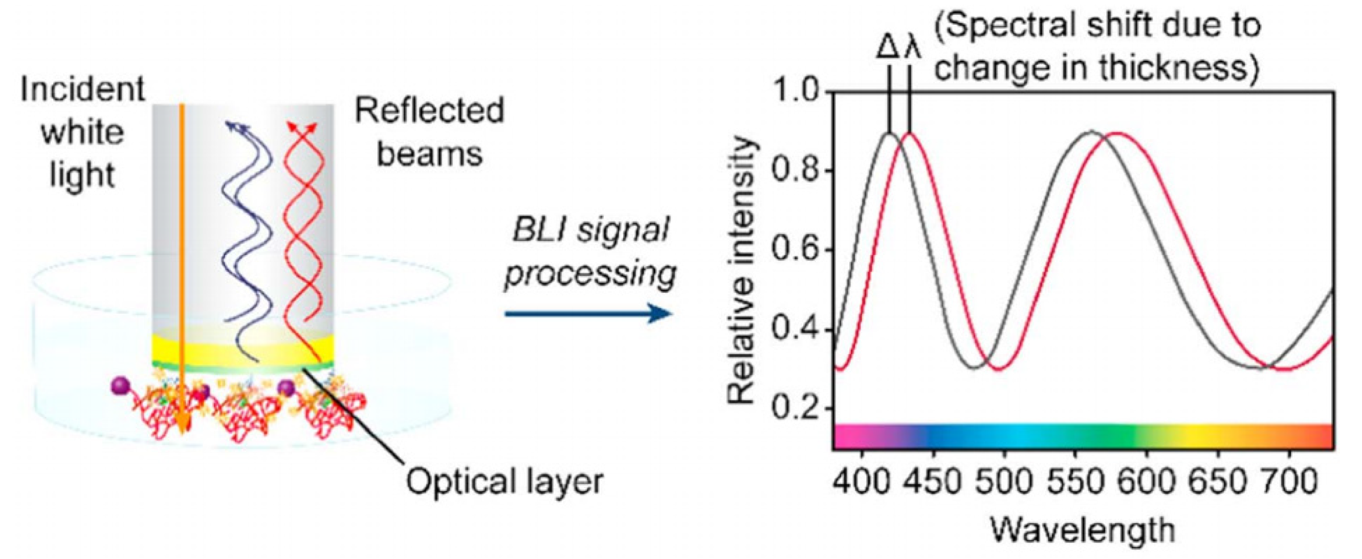 Sensors 20 05901 g012