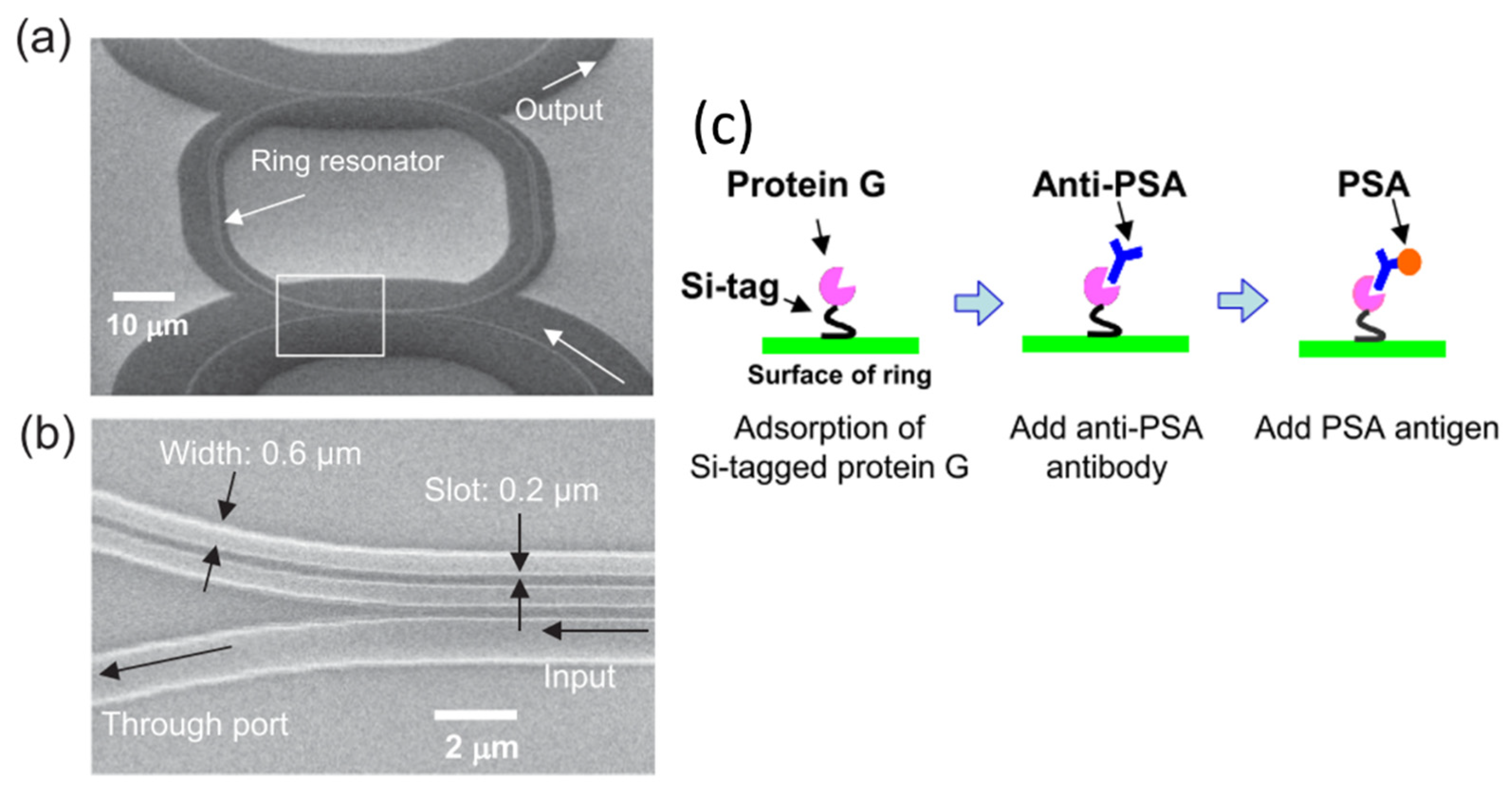 Sensors 20 05901 g019