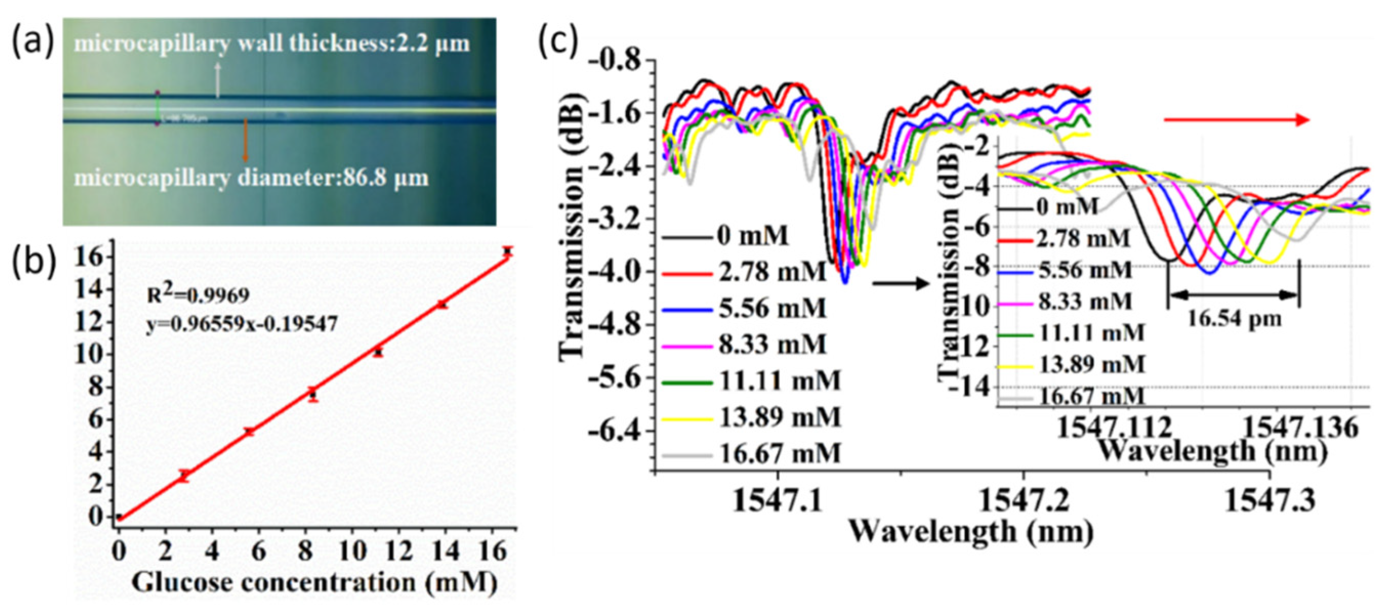 Sensors 20 05901 g029