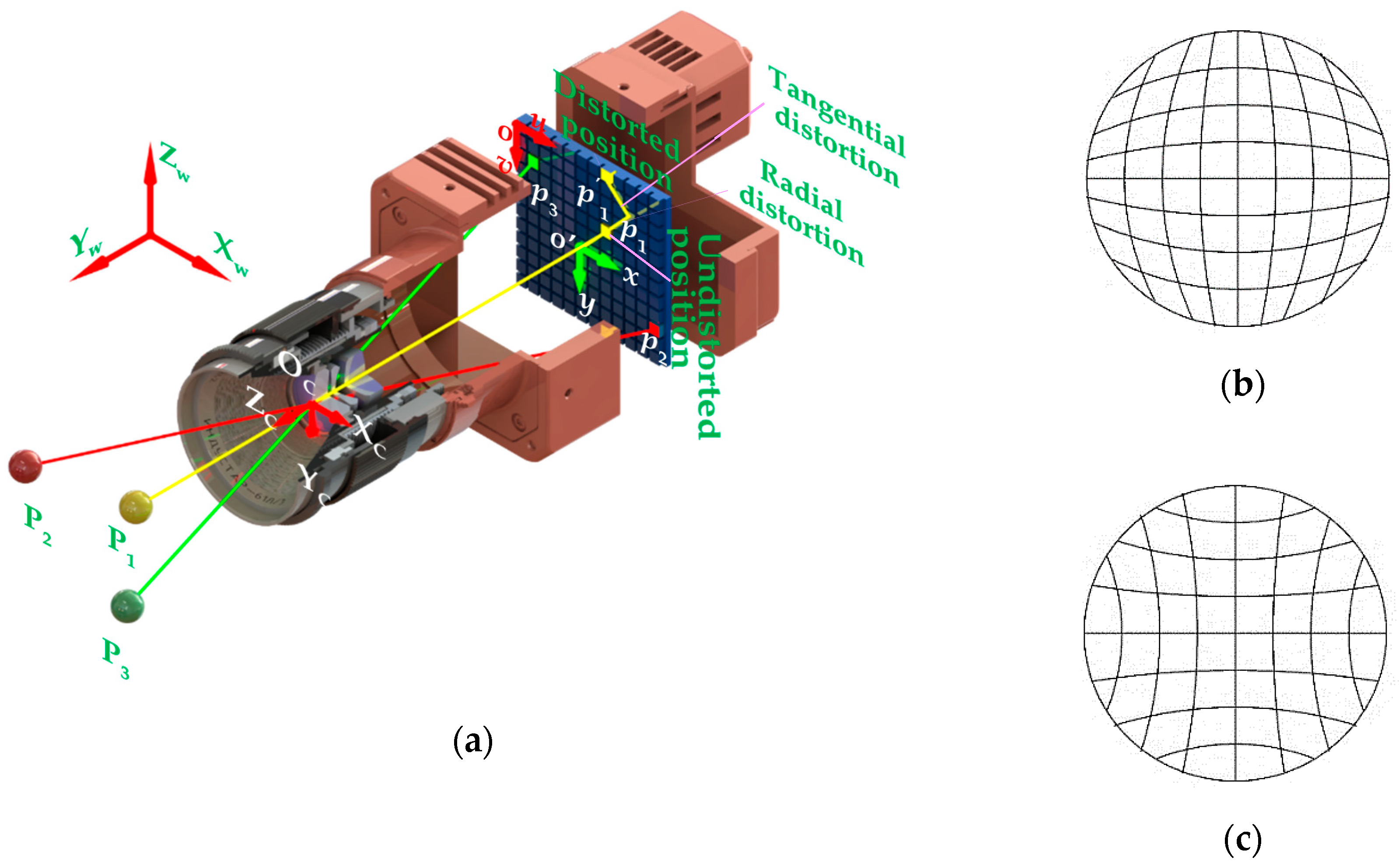 barrel distortion in photography