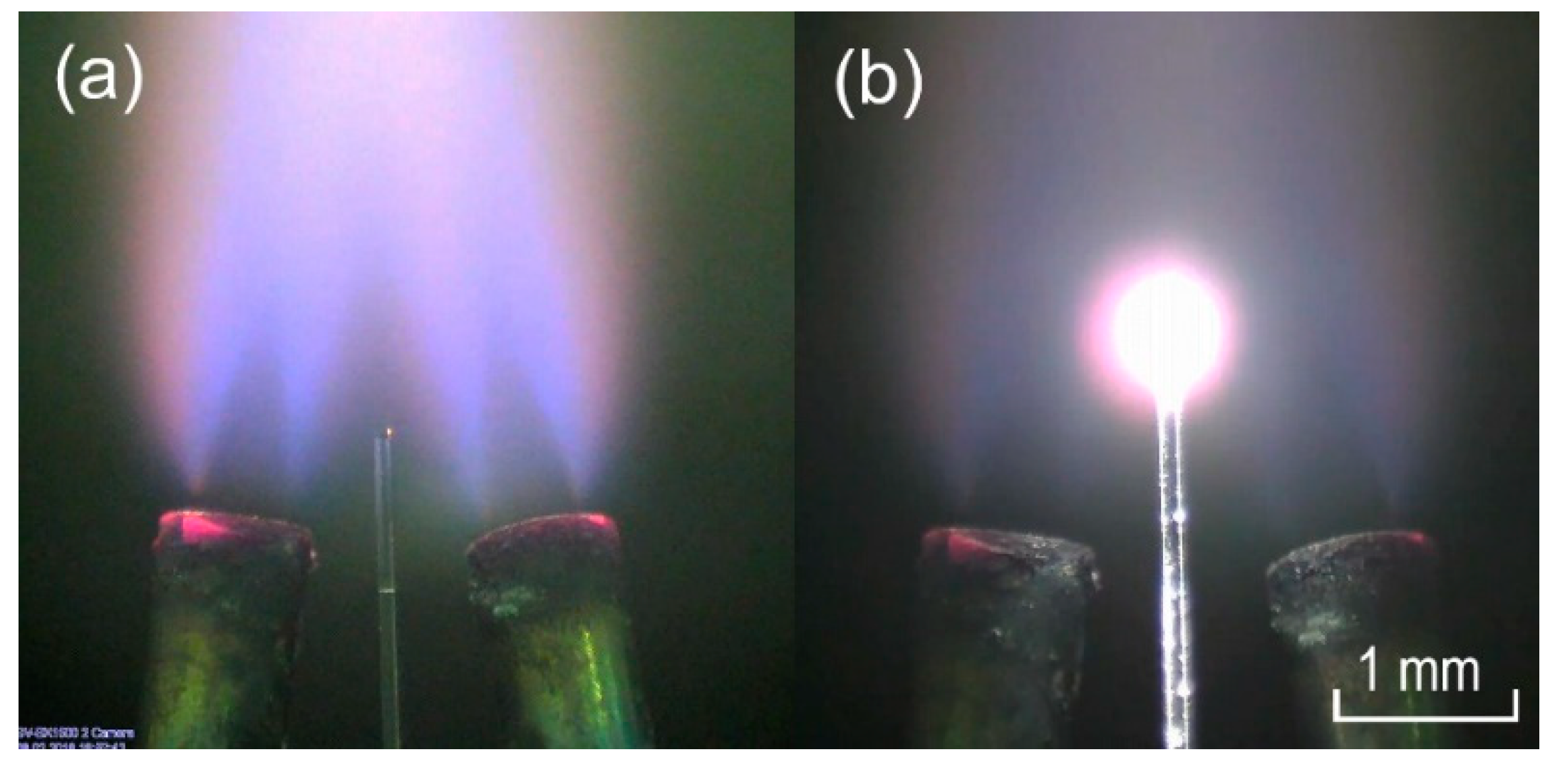 Sensors 20 05950 g001