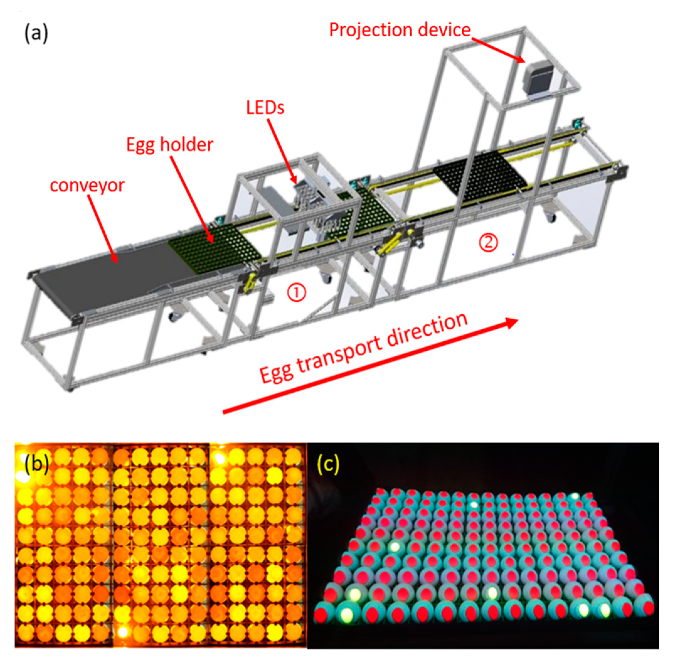 Sensors 20 05951 g002