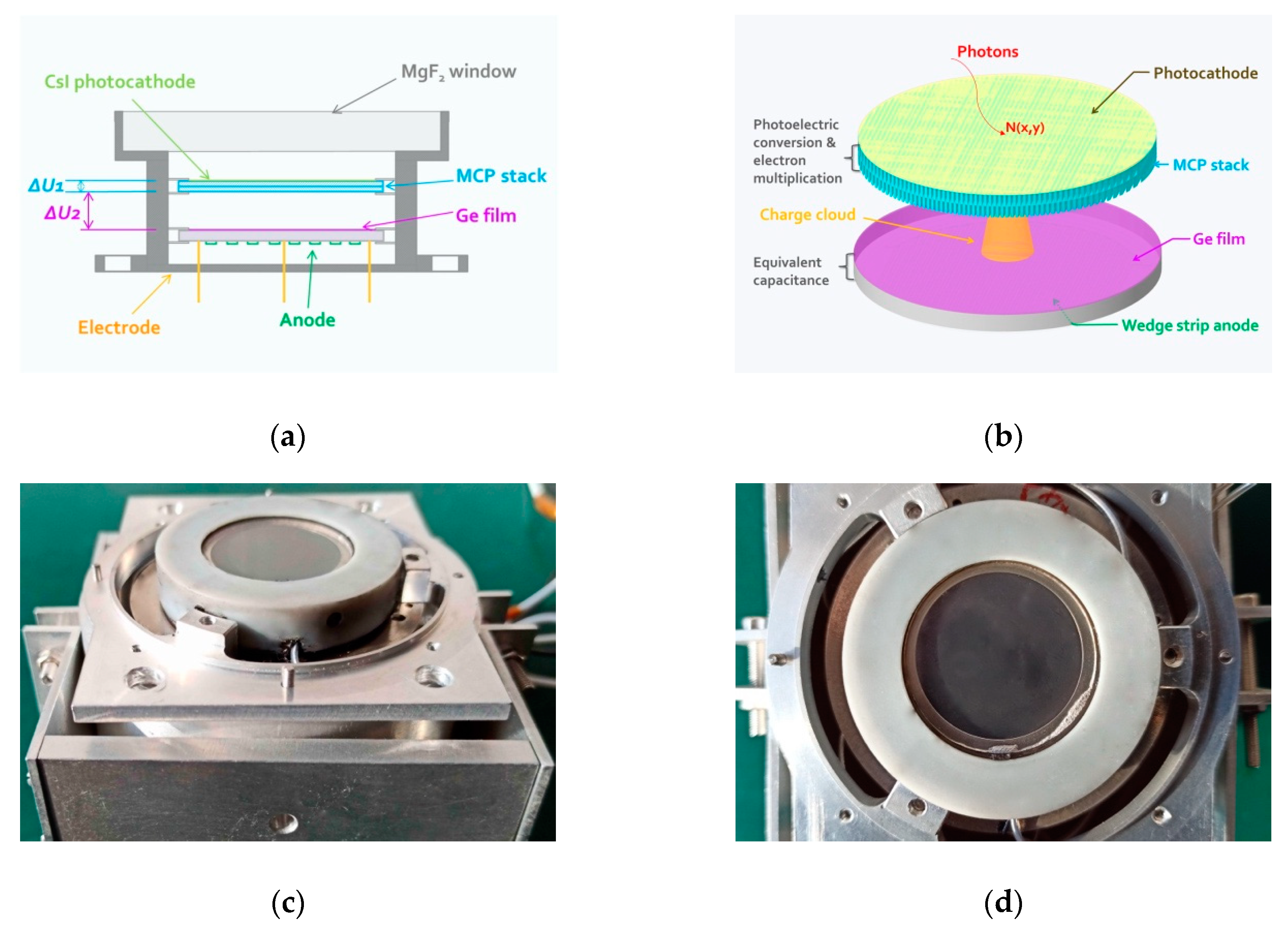 Sensors 20 05958 g001