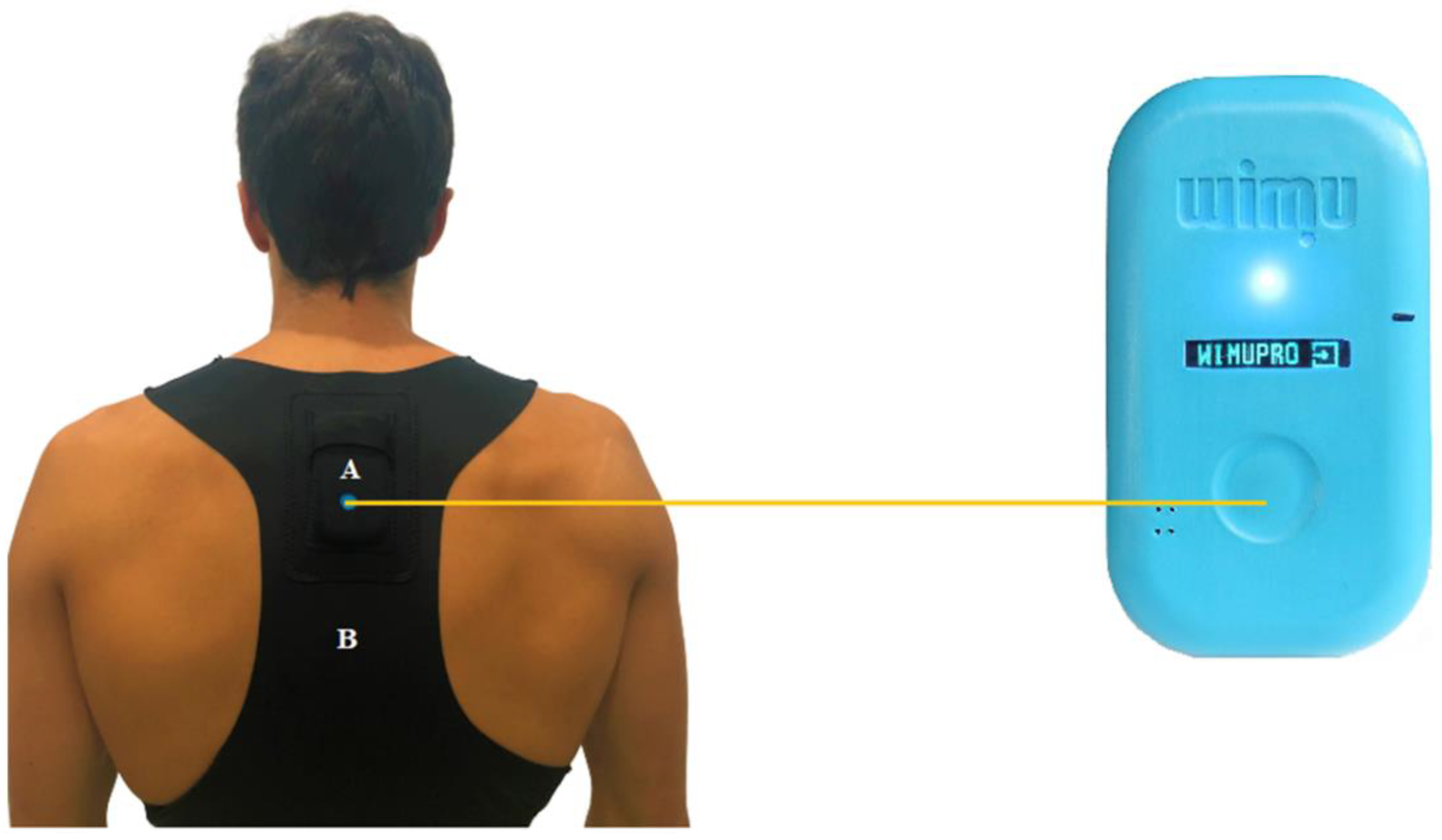 Sensors 20 05971 g001