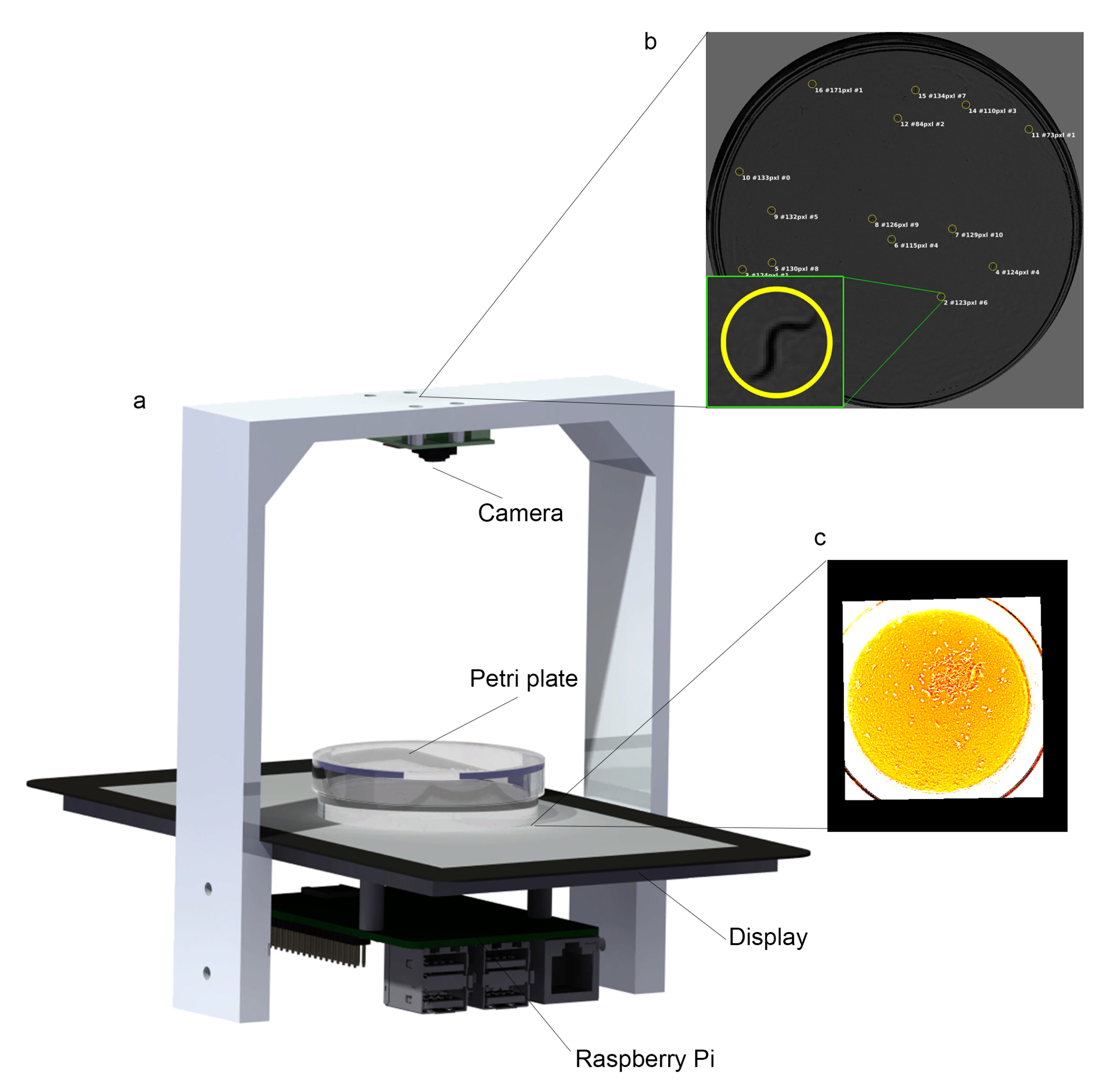 Sensors 20 05981 g001 Sensors 20 05981 g001