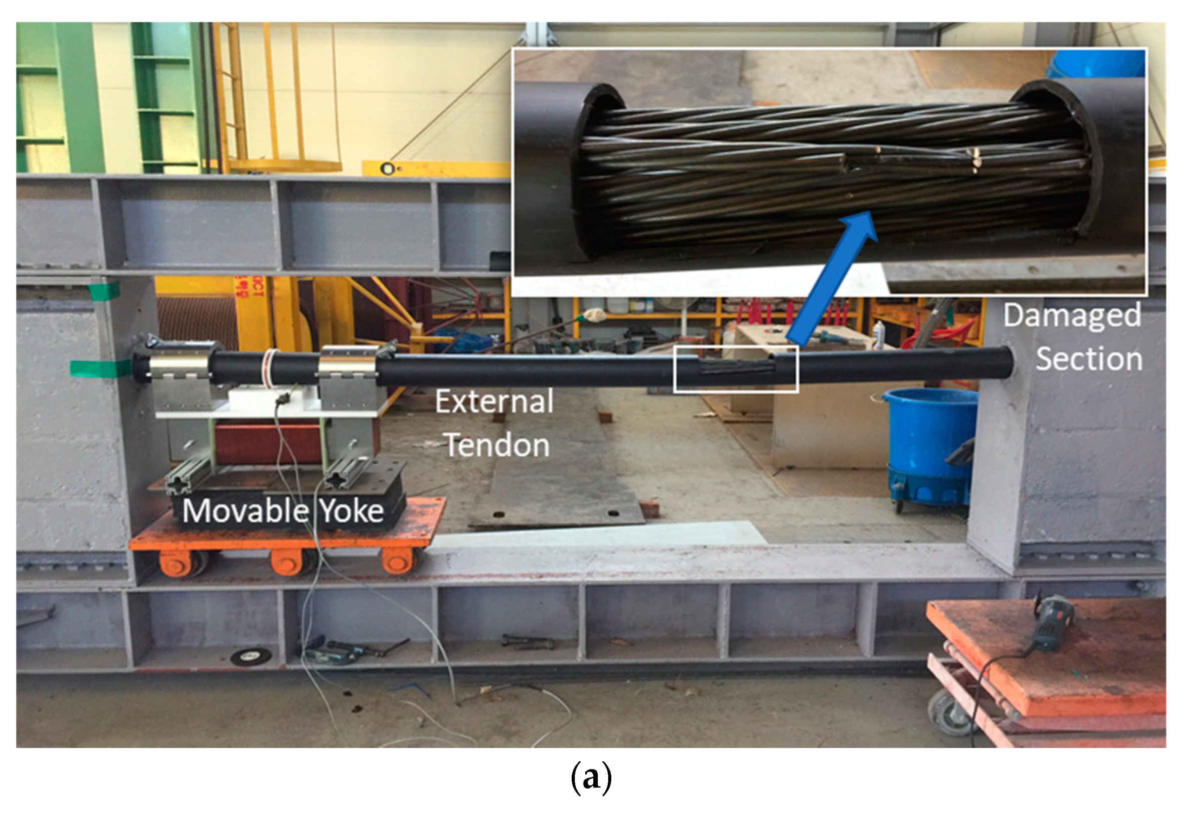 Sensors 20 05984 g001a