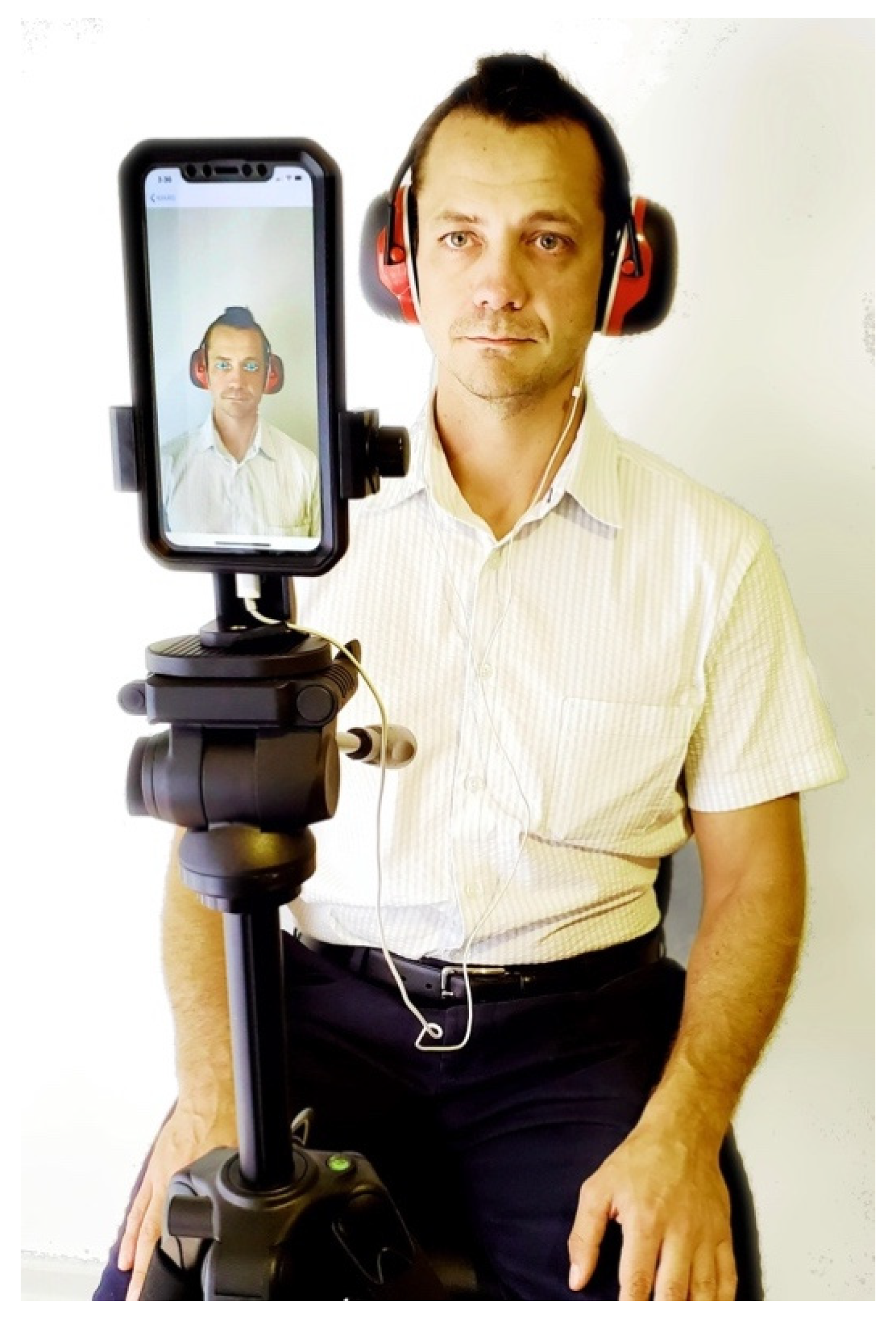 Sensors 20 05996 g002