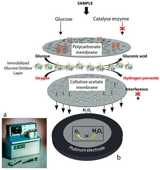 Sensors Free FullText A Critical Review of Electrochemical Glucose