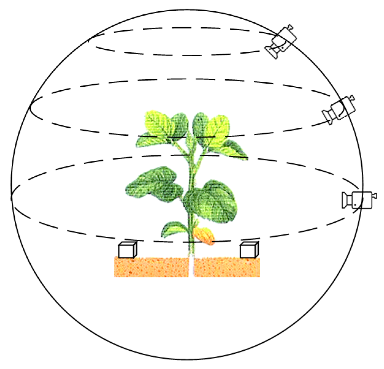 Sensors 20 06068 g001
