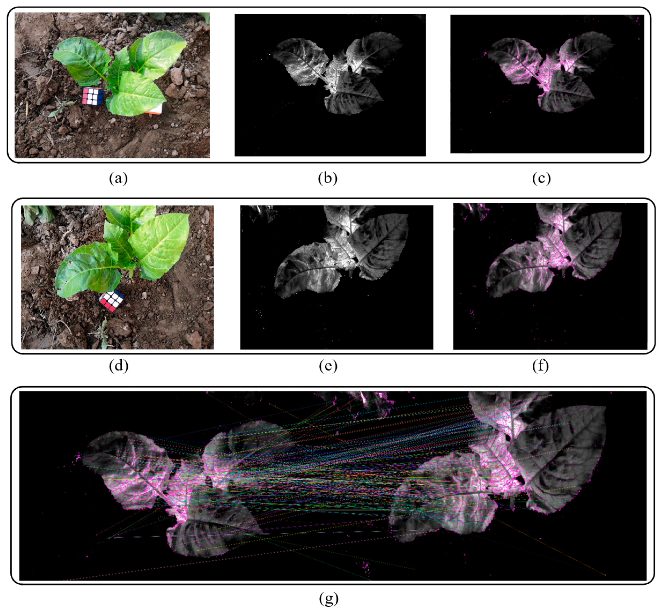 Sensors 20 06068 g003