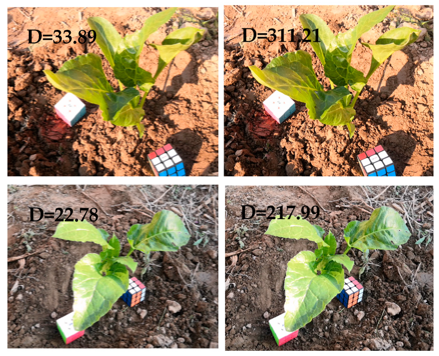 Sensors 20 06068 g005