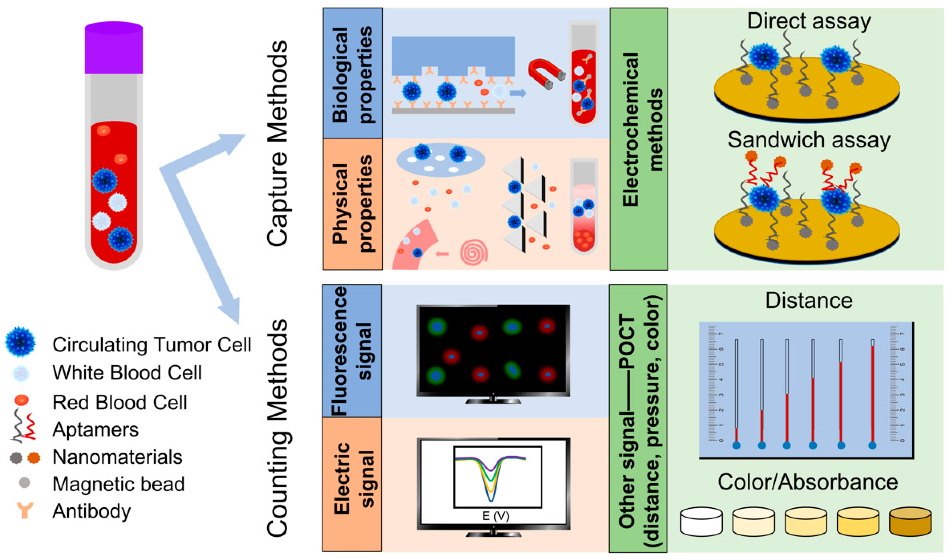 Sensors Free FullText Electrochemical Detection and PointofCare