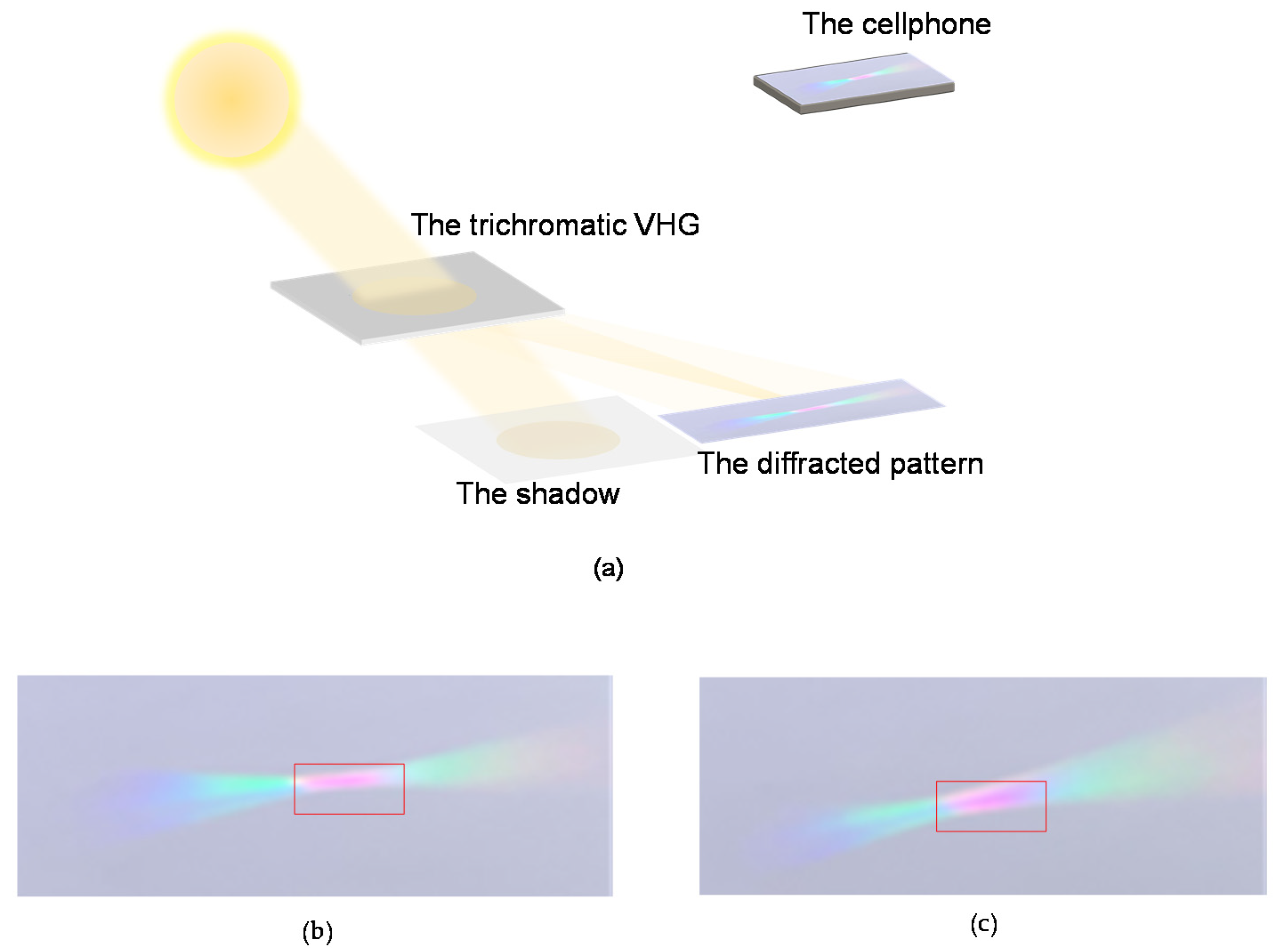 Sensors 20 06080 g007