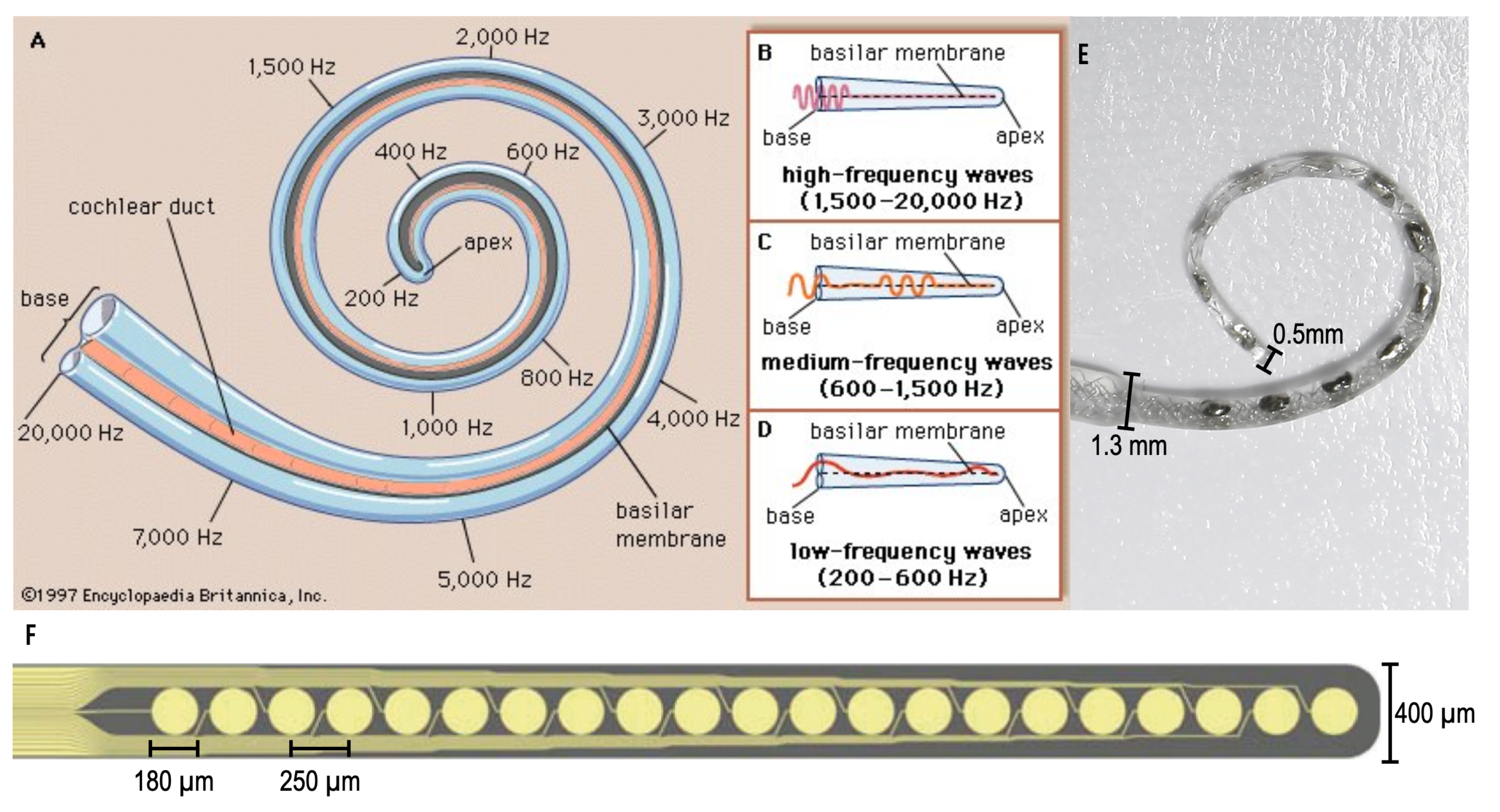 Sensors 20 06087 g001