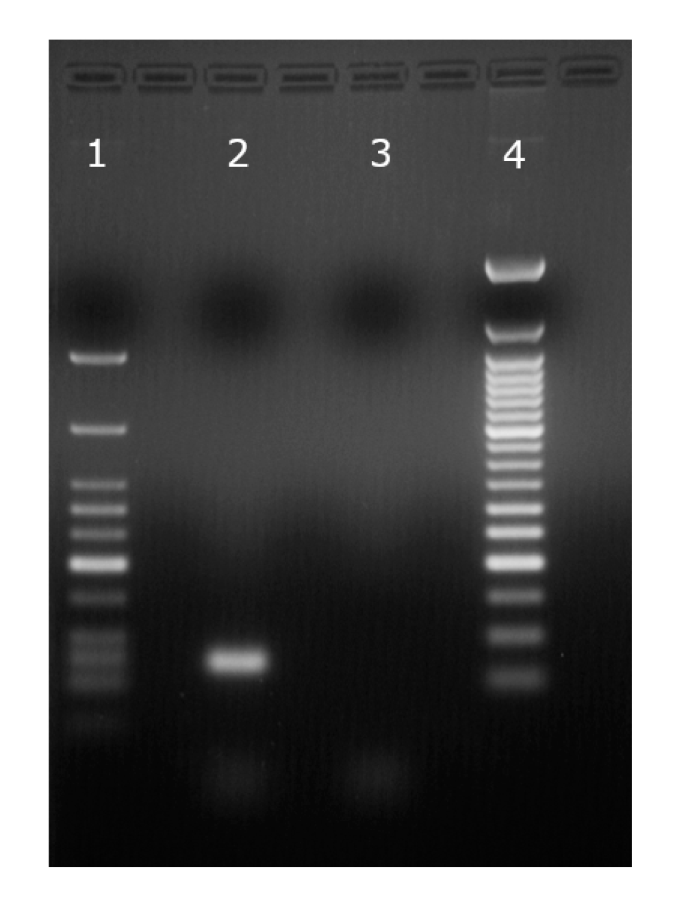 Sensors 20 06099 g018 Sensors 20 06099 g018