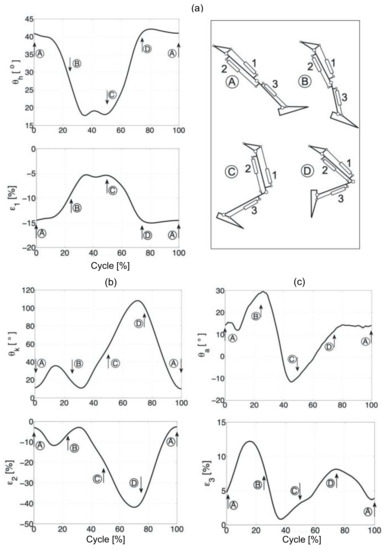 Sensors | Free Full-Text | A Kinematic Model Of A Humanoid Lower Limb Exoskeleton With Hydraulic Actuators | HTML Sensors | Free Full-Text | A Kinematic Model Of A Humanoid Lower Limb Exoskeleton With Hydraulic Actuators | HTML