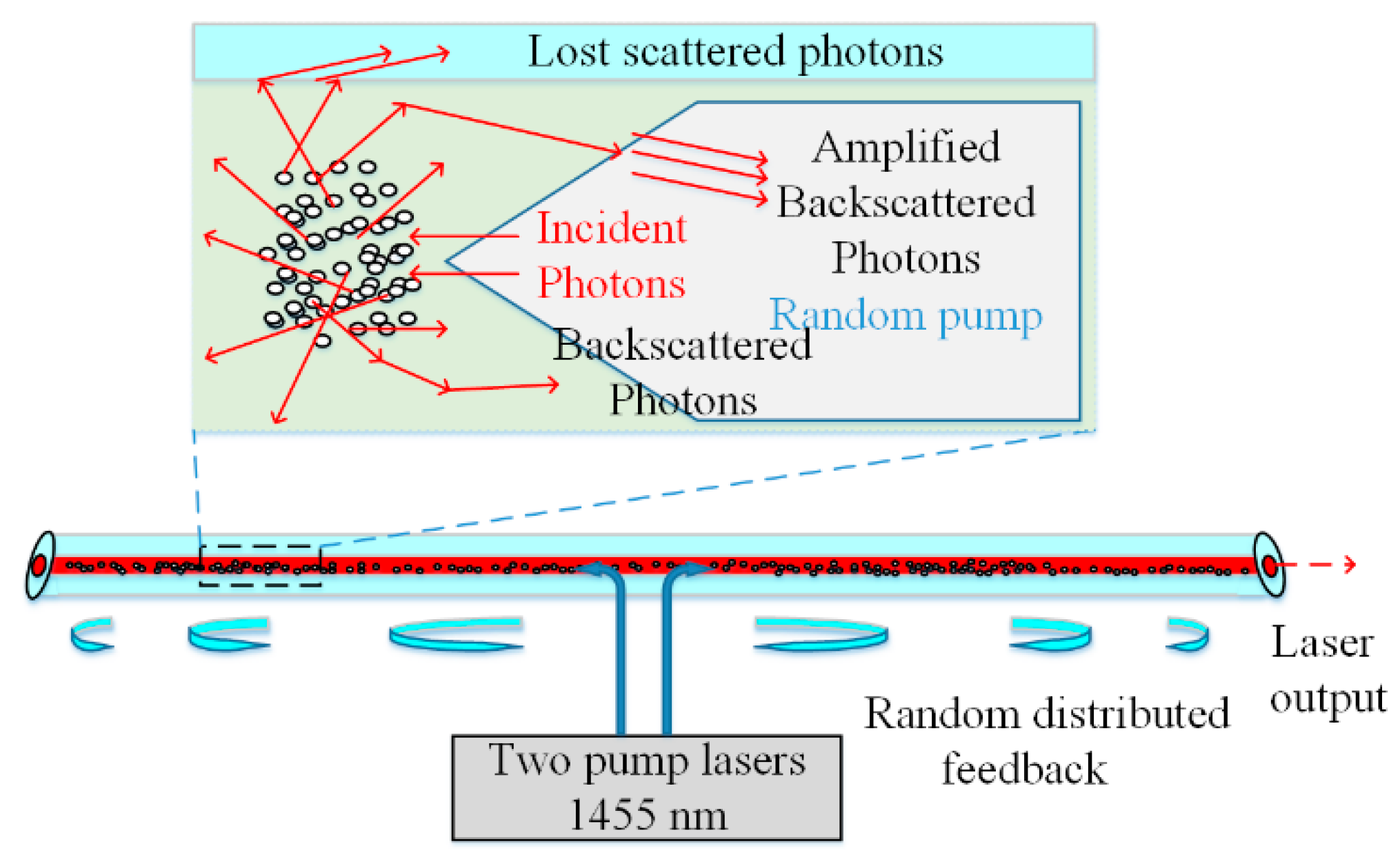 Sensors 20 06122 g002 Sensors 20 06122 g002