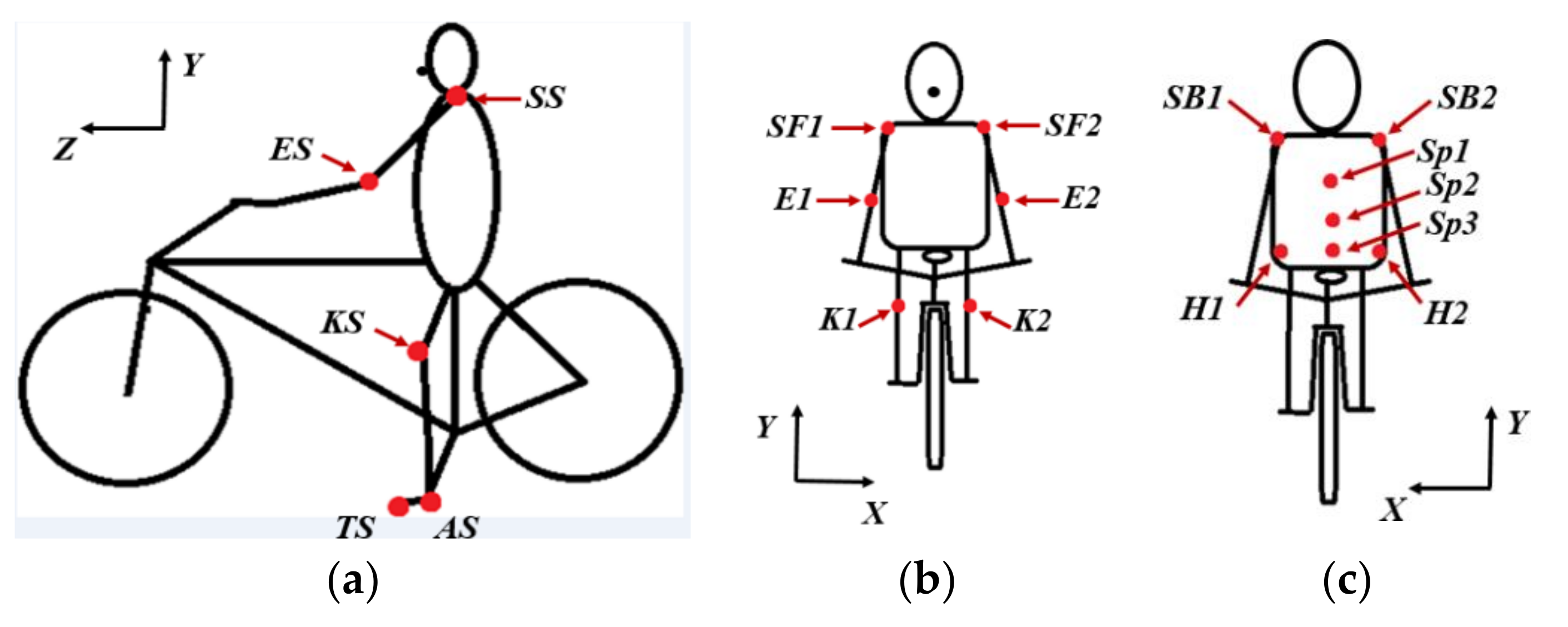 Sensors 20 06135 g003 Sensors 20 06135 g003