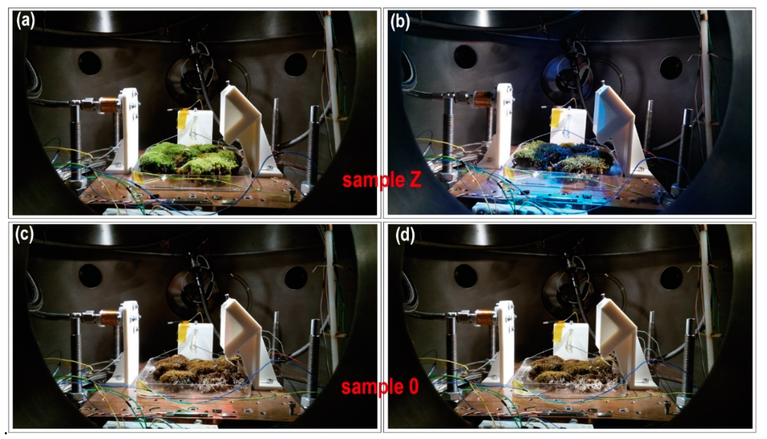 Sensors Free Full Text Mimicking The Martian Hydrological Cycle A Set Up To Introduce Liquid Water In Vacuum Html