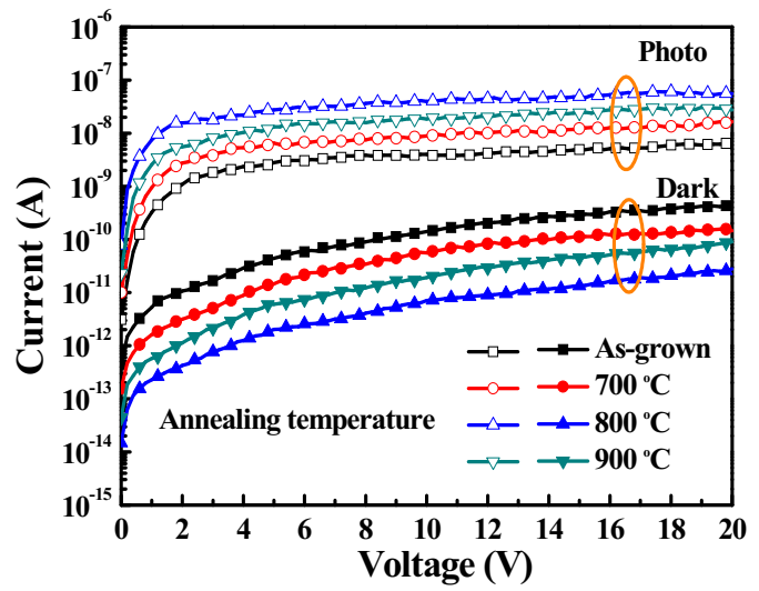 Sensors 20 06159 g006