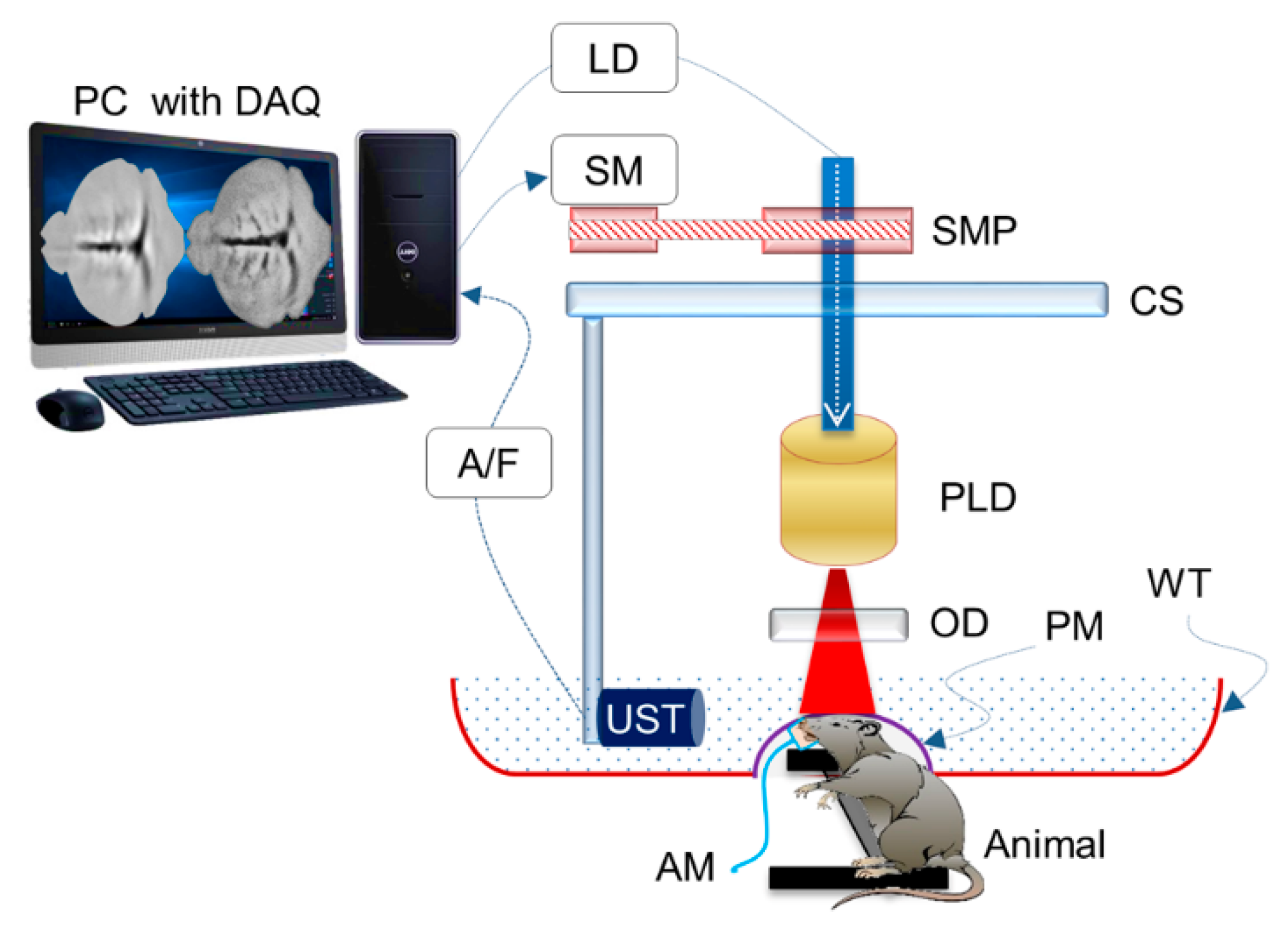 Sensors 20 06173 g016 Sensors 20 06173 g016