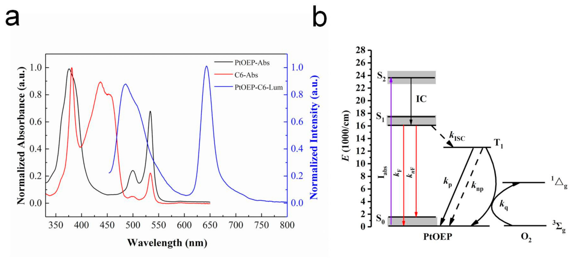 Sensors 20 06175 g002 Sensors 20 06175 g002
