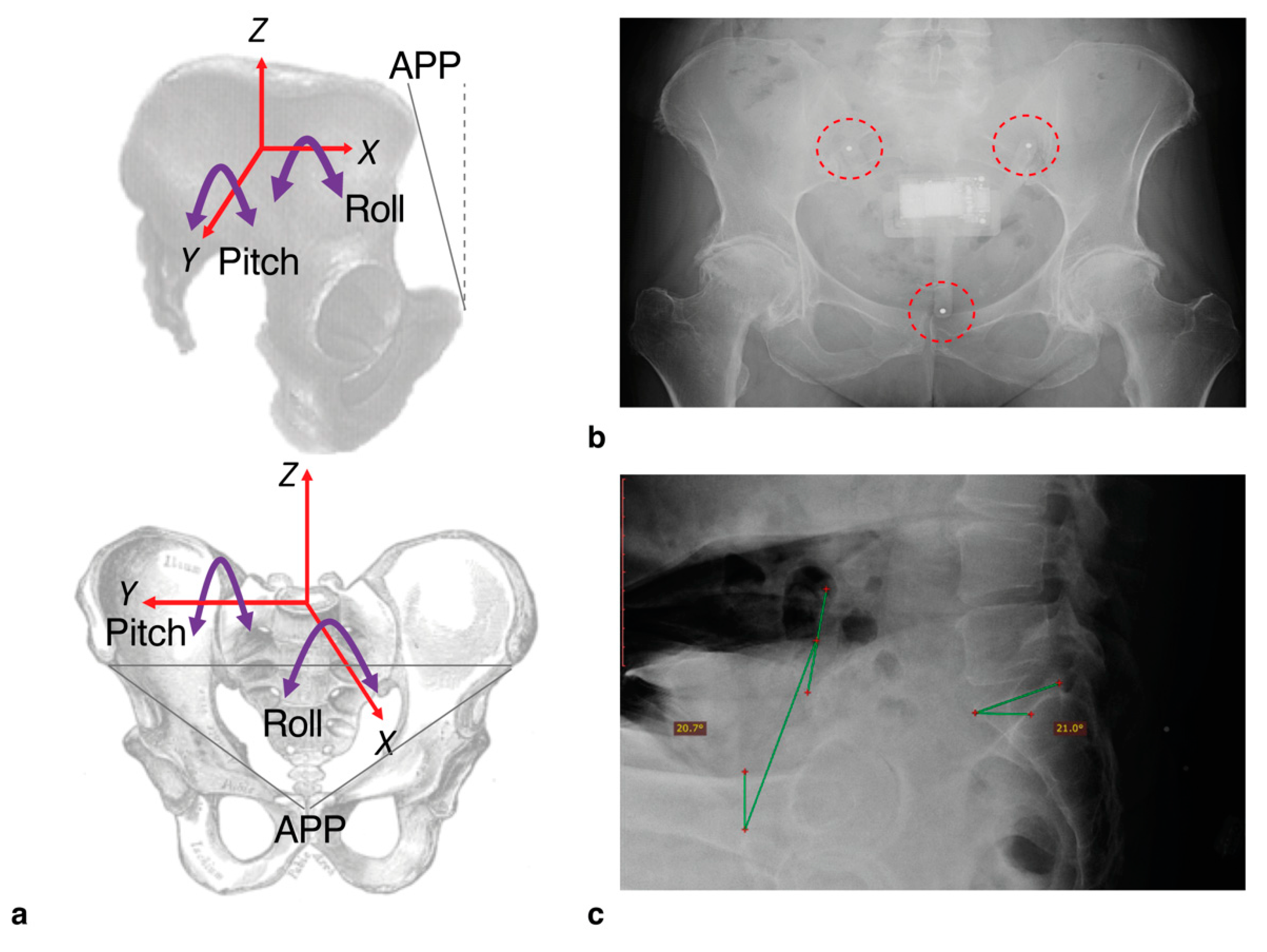 Sensors 20 06182 g003 Sensors 20 06182 g003