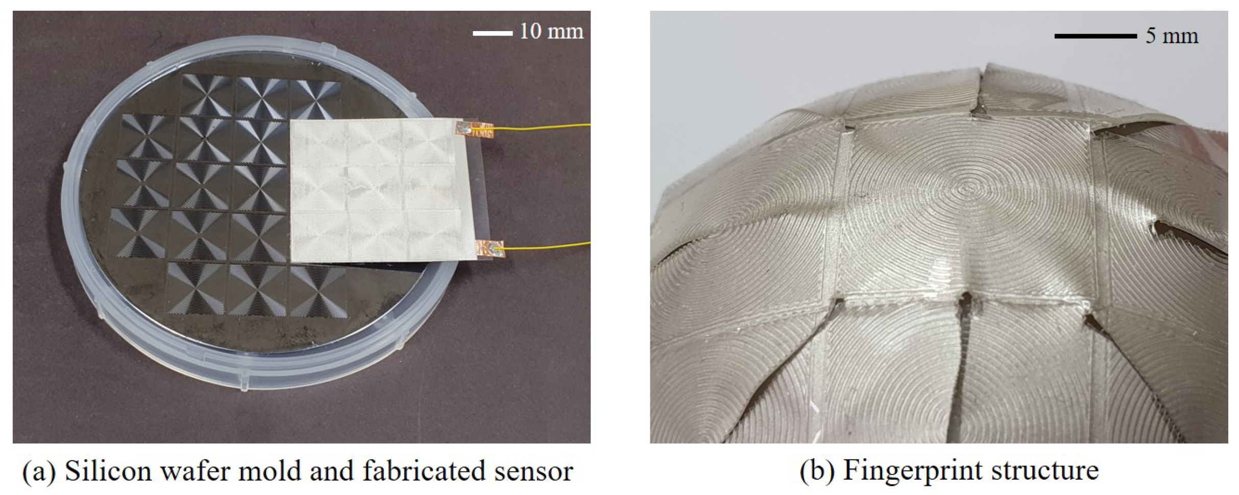 Sensors 20 06185 g002