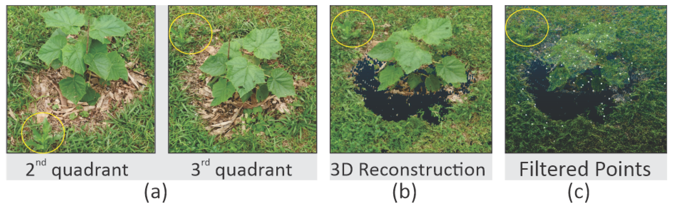 Sensors 20 06187 g008 Sensors 20 06187 g008
