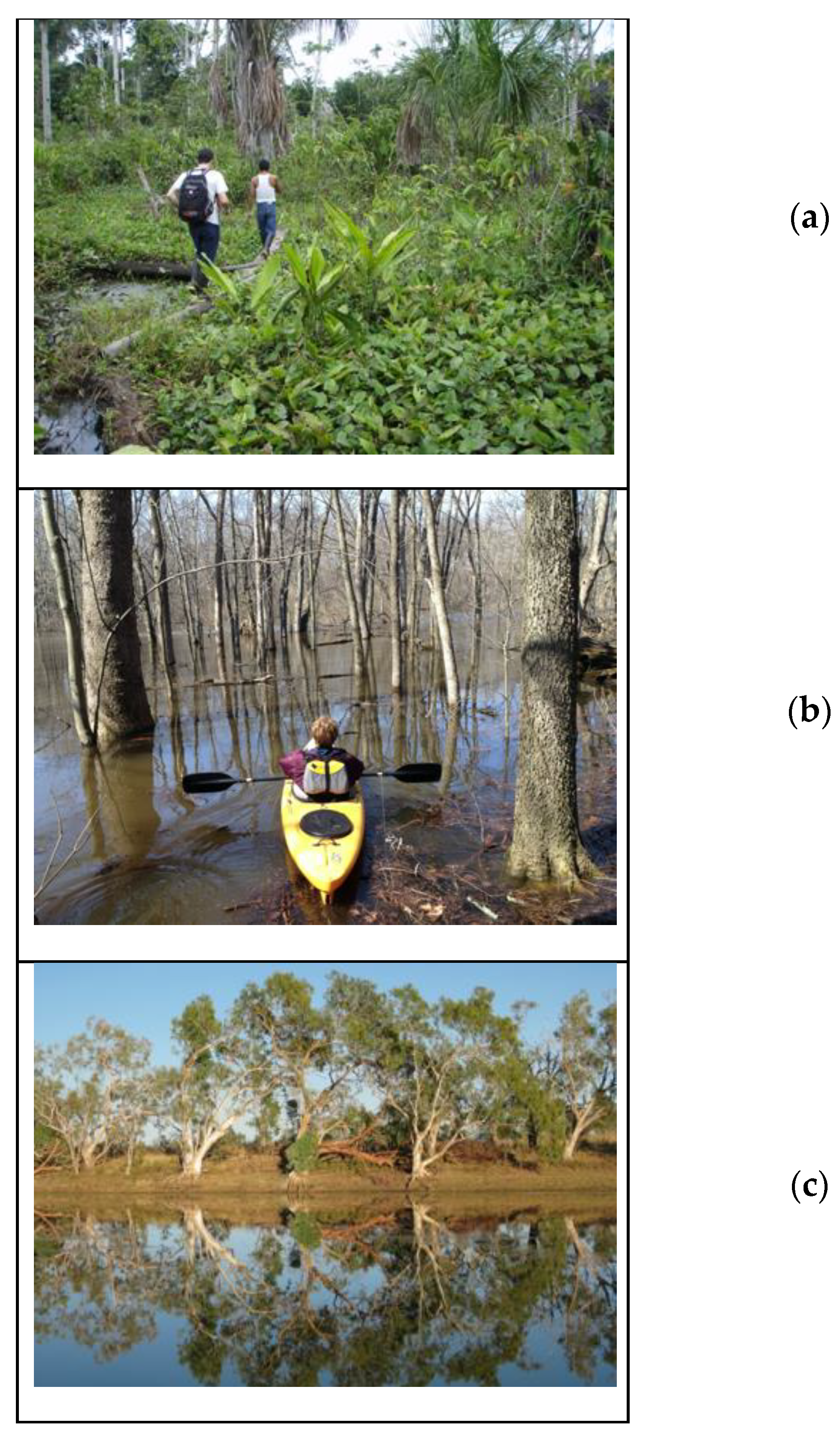 Sensors 20 06189 g001 Sensors 20 06189 g001