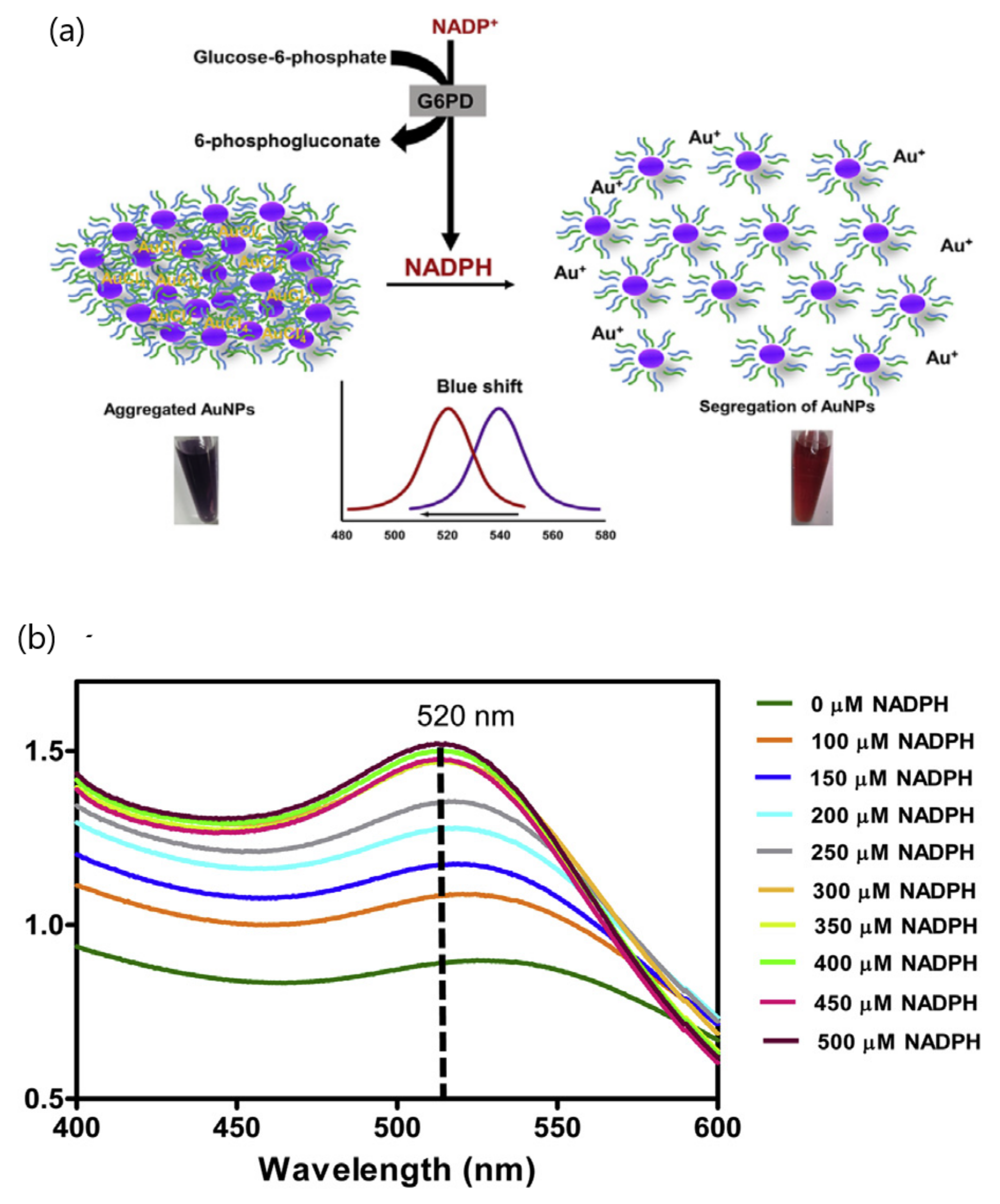 Sensors 20 06214 g003 Sensors 20 06214 g003