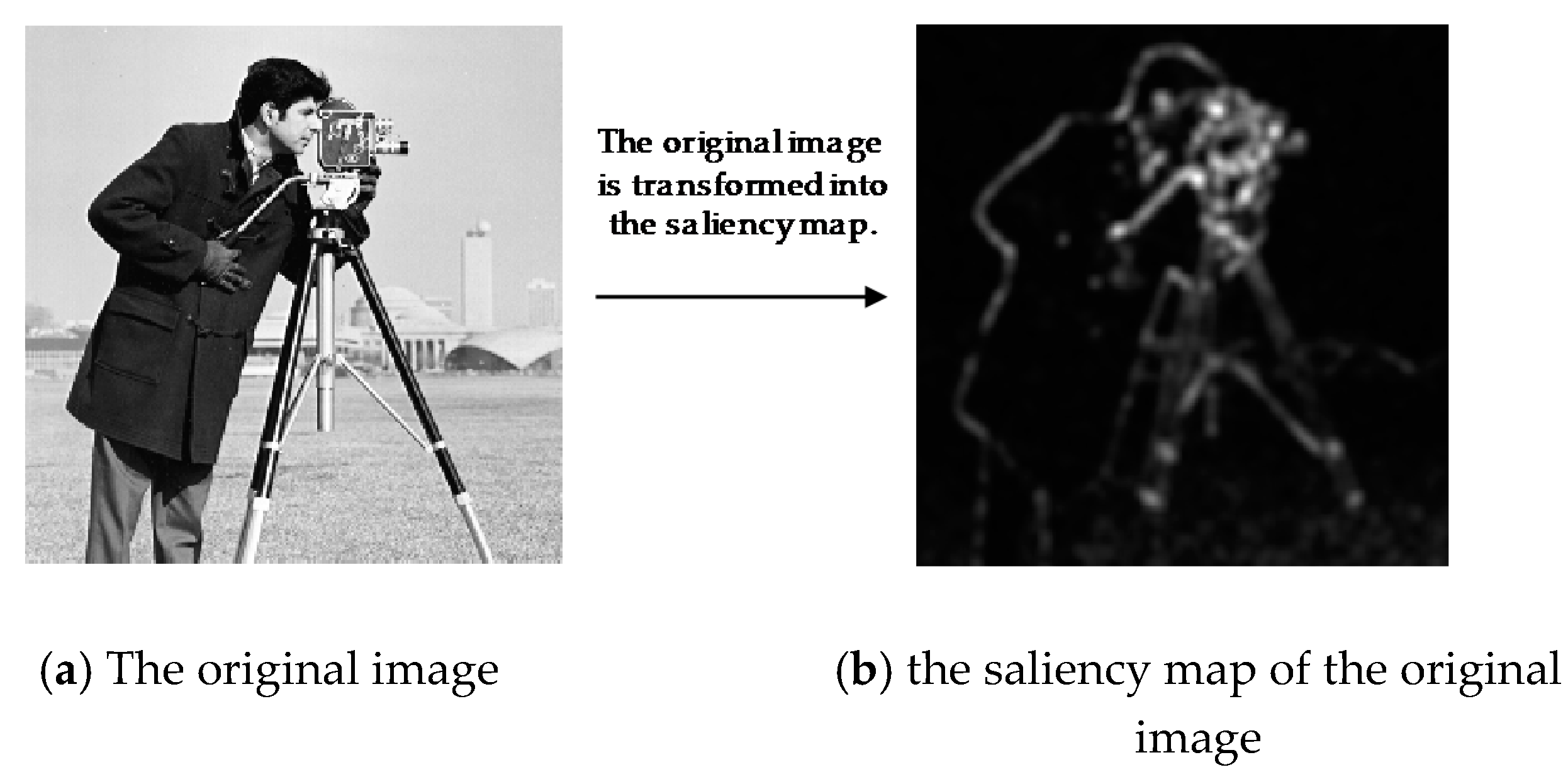 Sensors 20 06217 g002