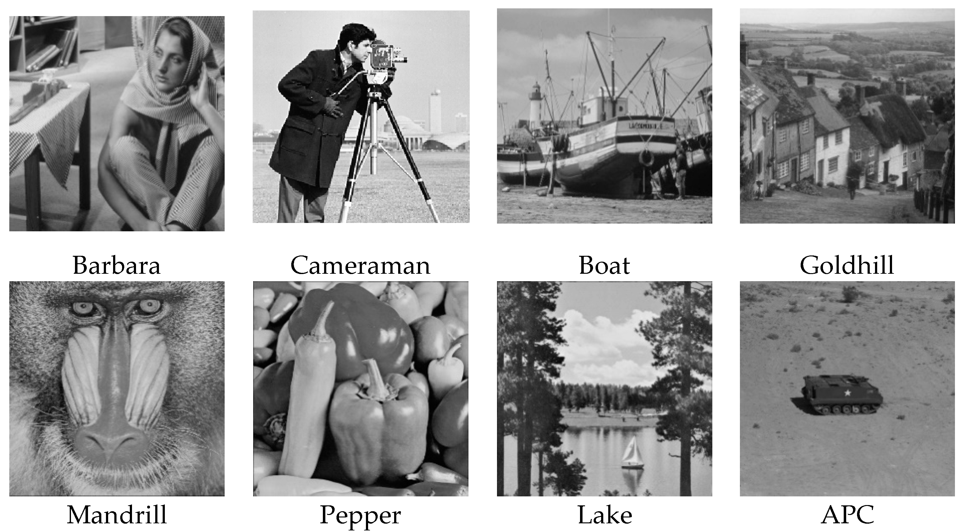 Sensors 20 06217 g010