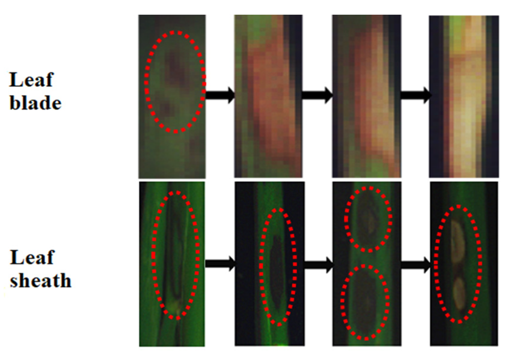 Sensors 20 06243 g001