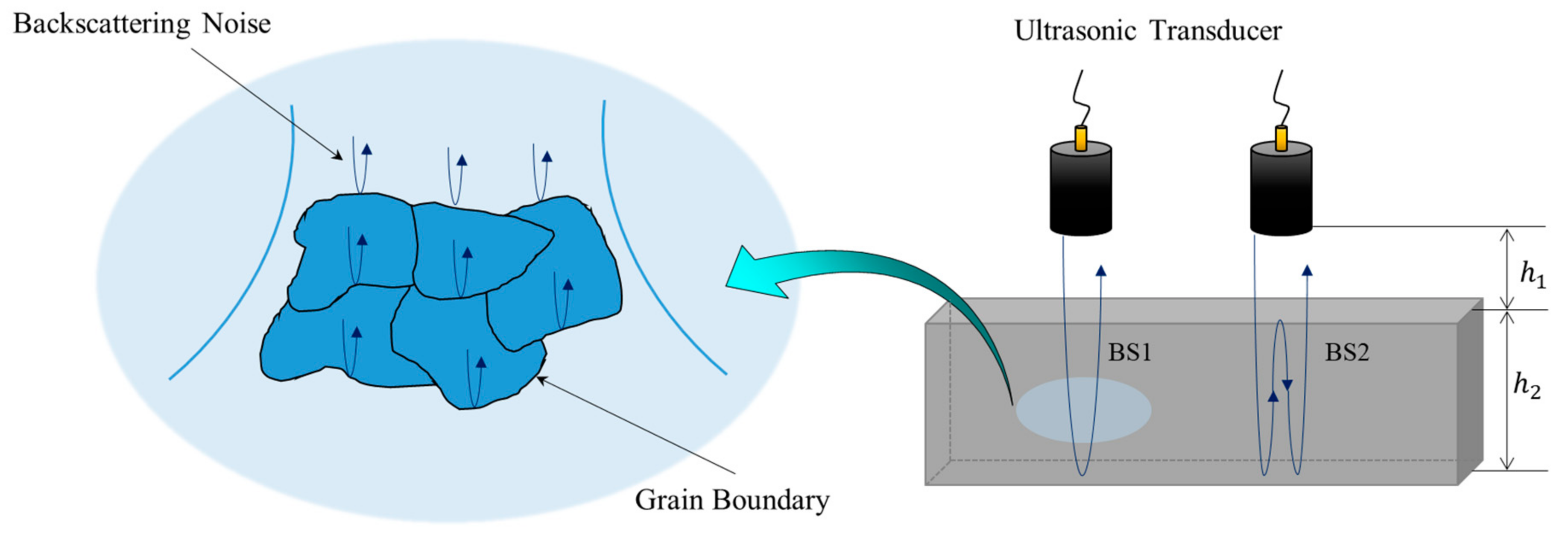 Sensors 20 06259 g001