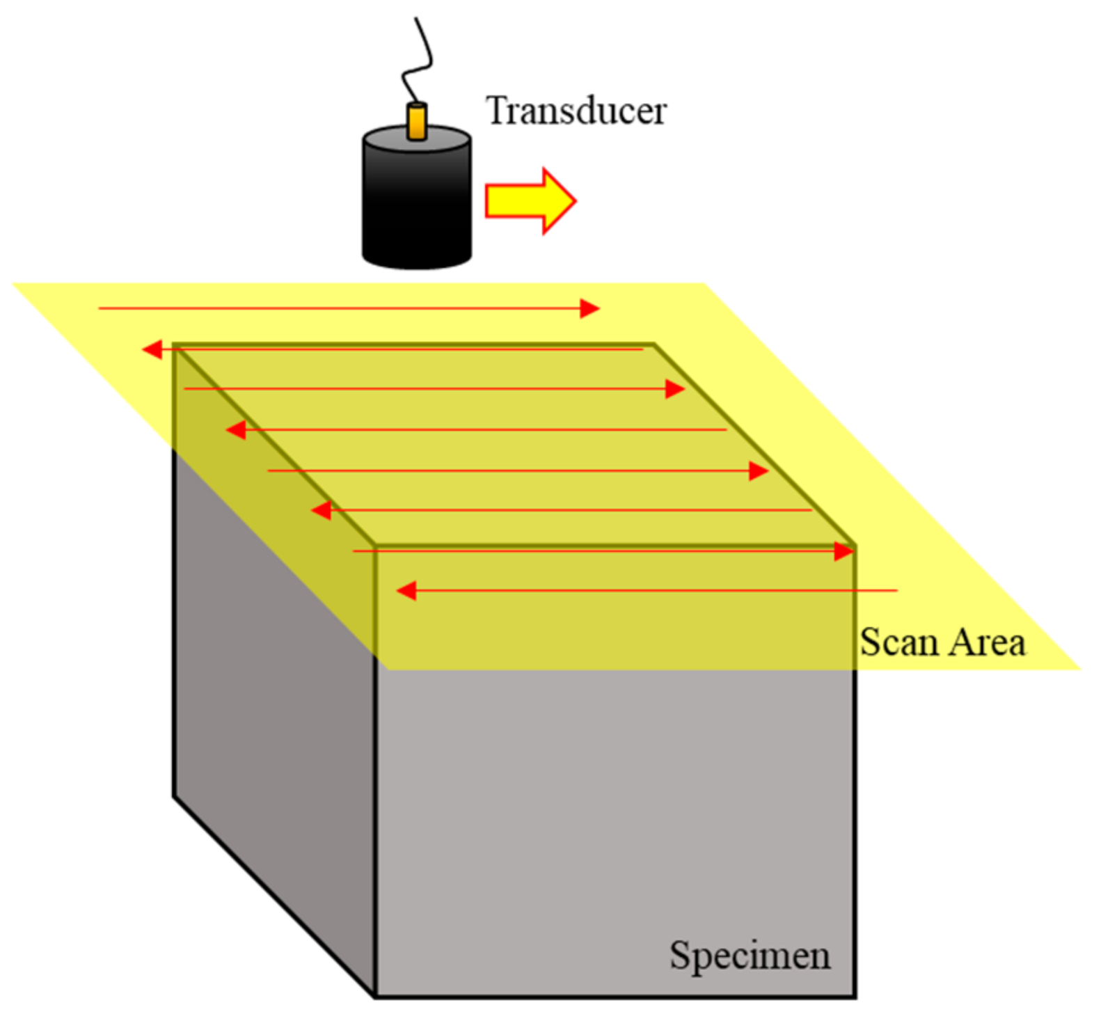 Sensors 20 06259 g003