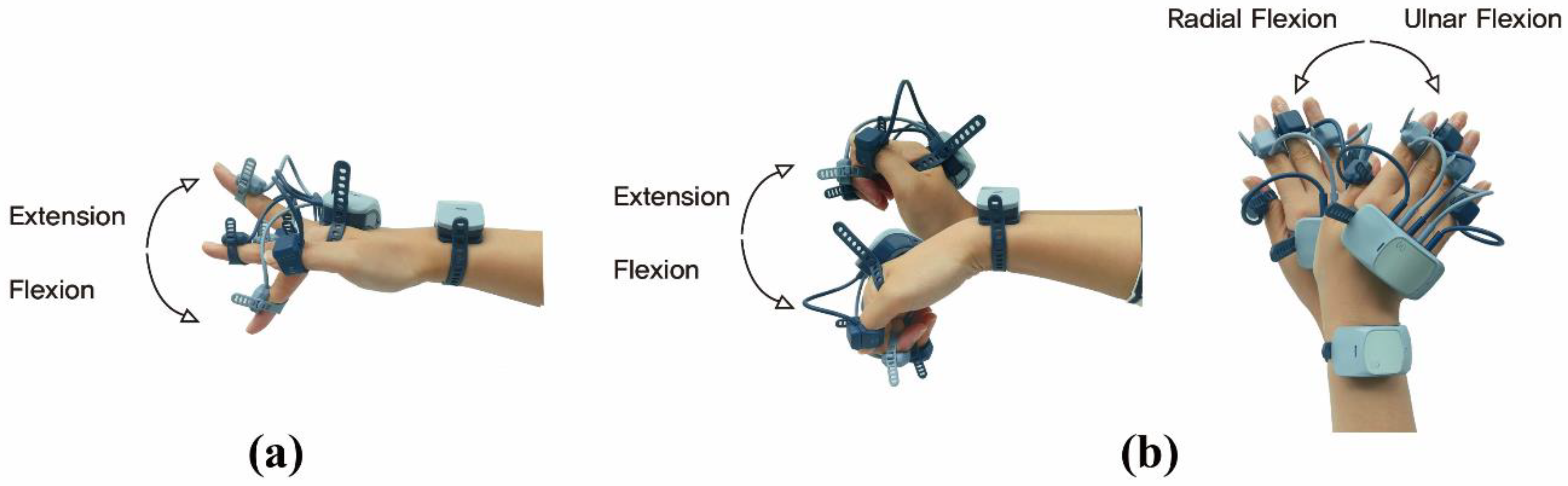 Sensors 20 06313 g001