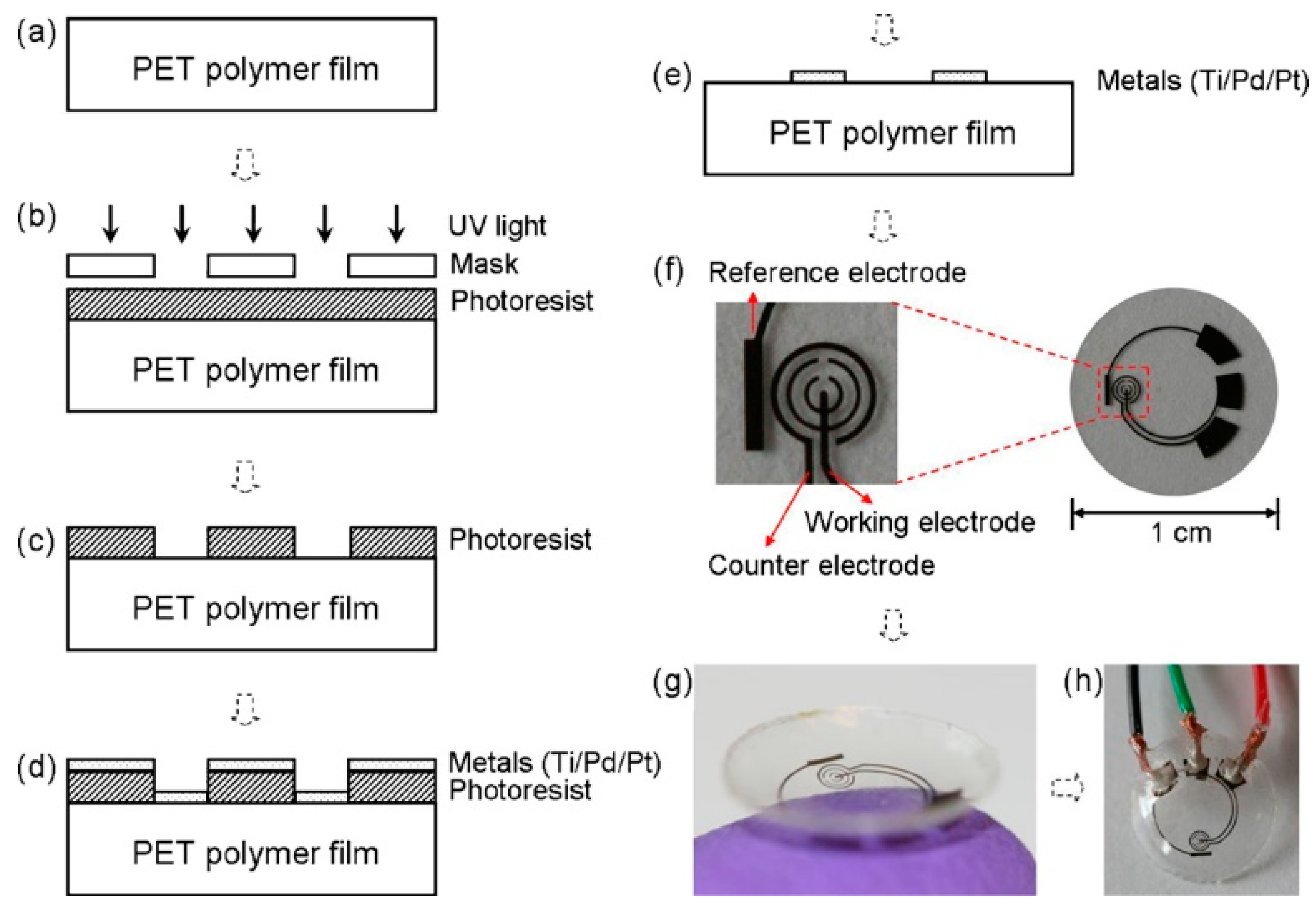 Sensors 20 06352 g001 Sensors 20 06352 g001