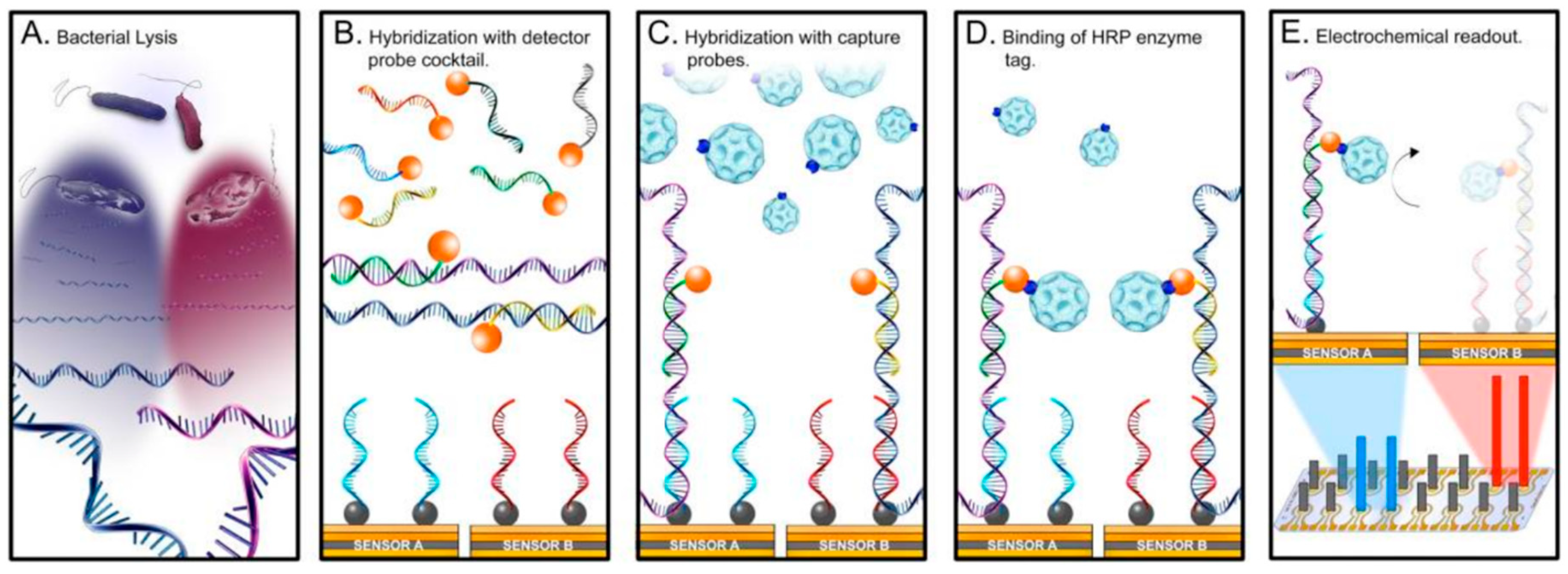 Sensors 20 06352 g009 Sensors 20 06352 g009