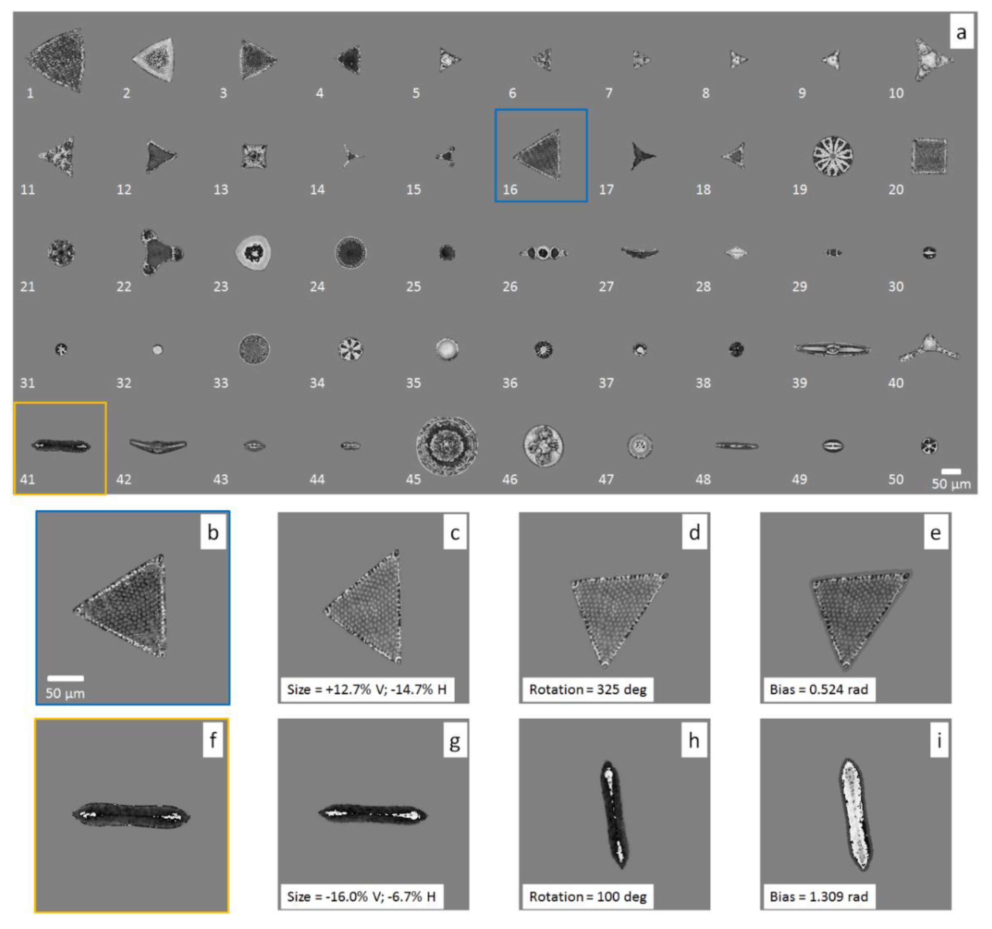 Sensors 20 06353 g004 Sensors 20 06353 g004
