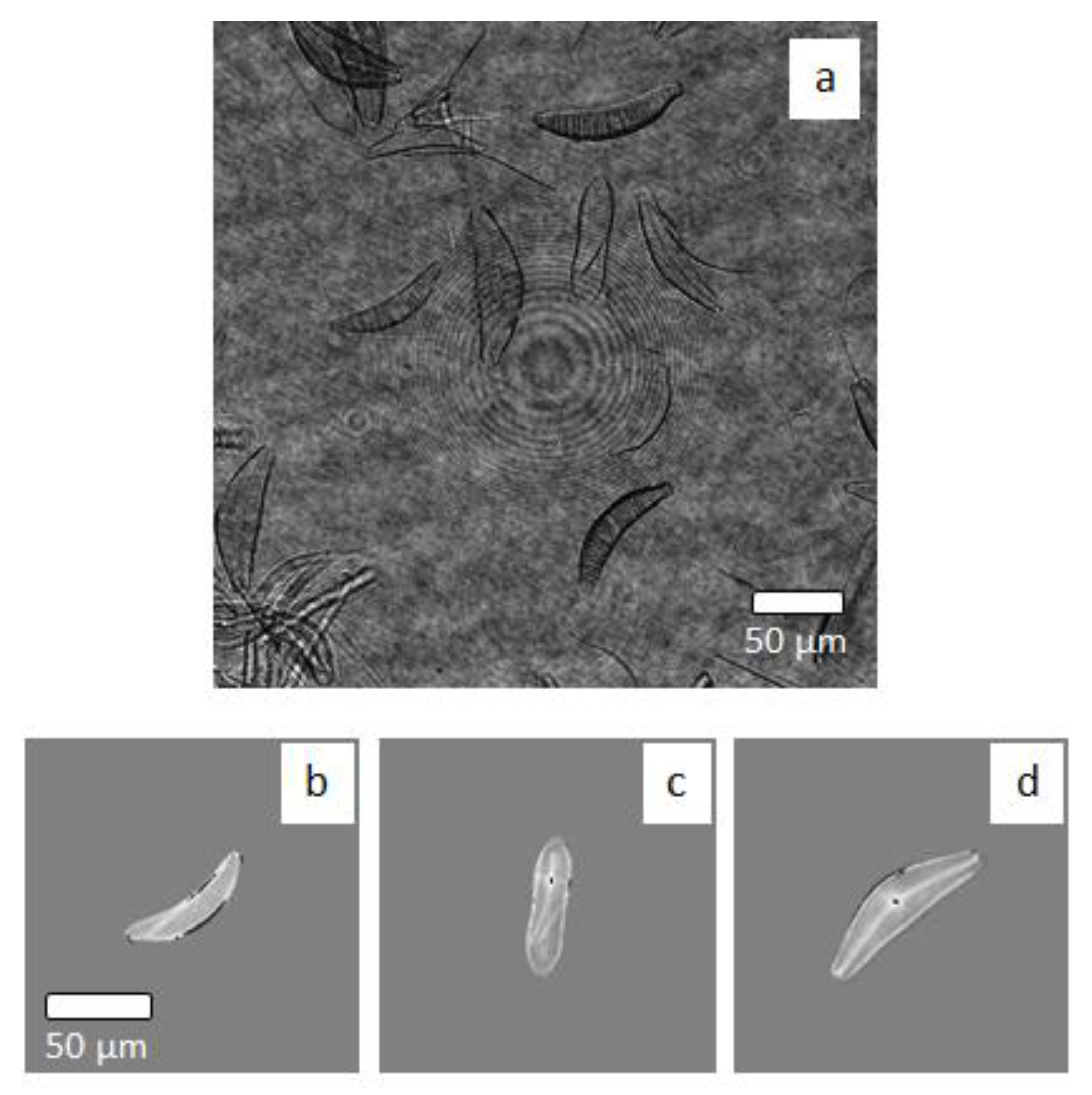 Sensors 20 06353 g005 Sensors 20 06353 g005