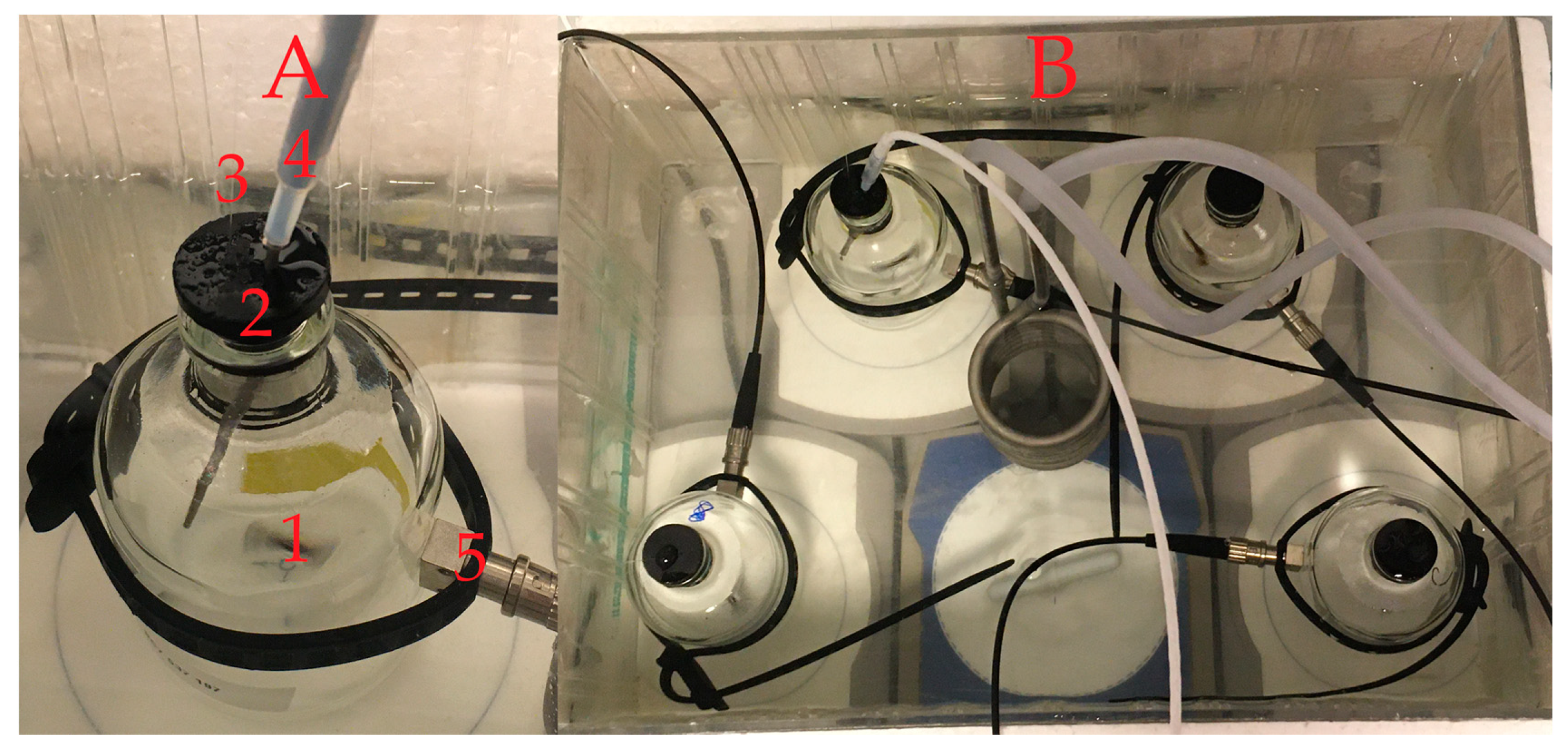 Sensors 20 06398 g002