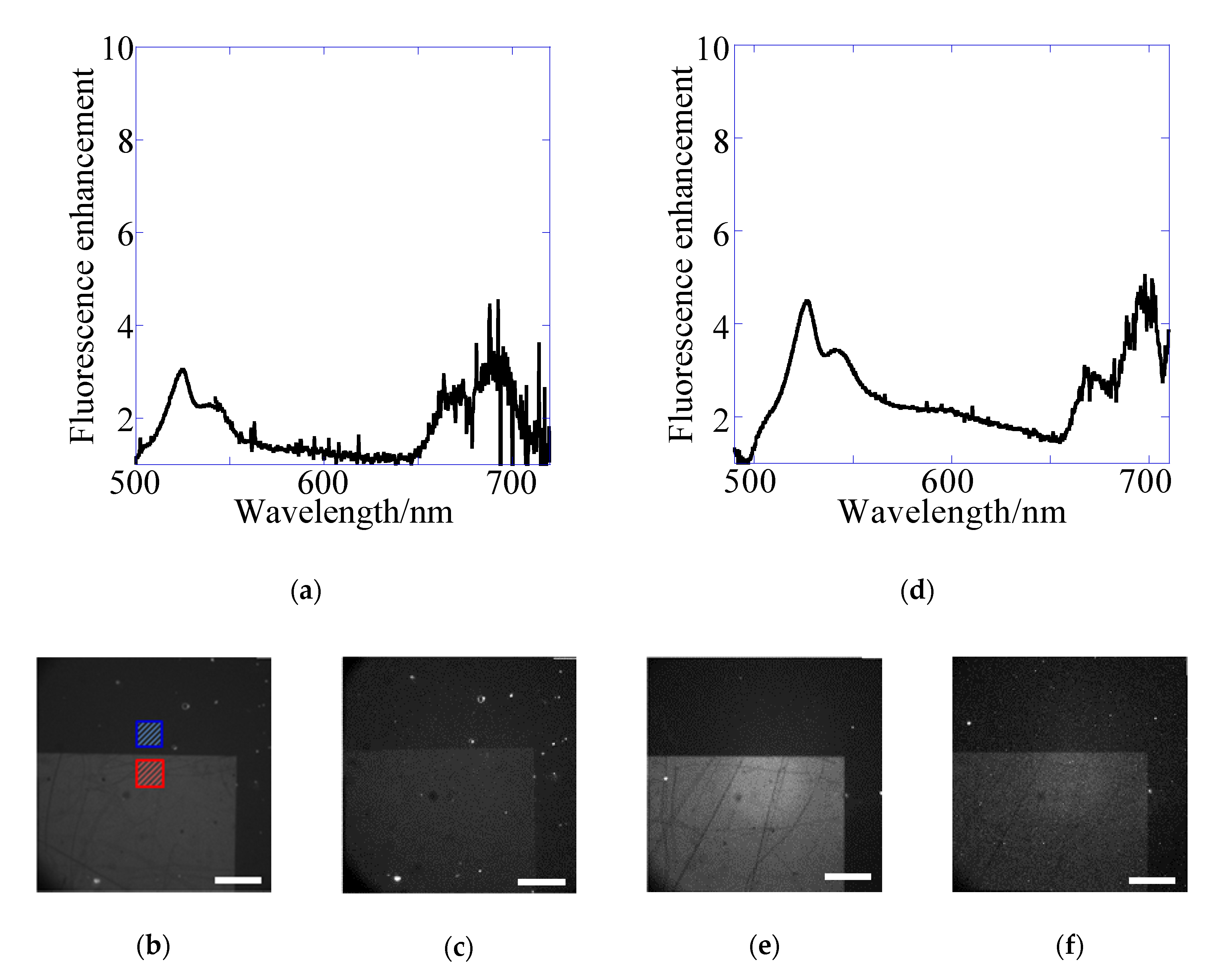 Sensors 20 06415 g006