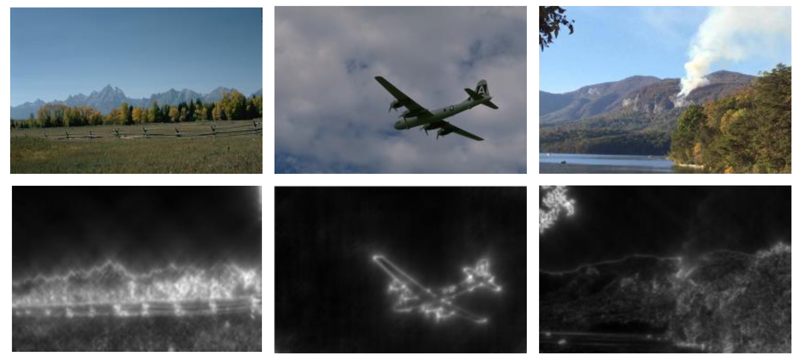 Sensors 20 06429 g004