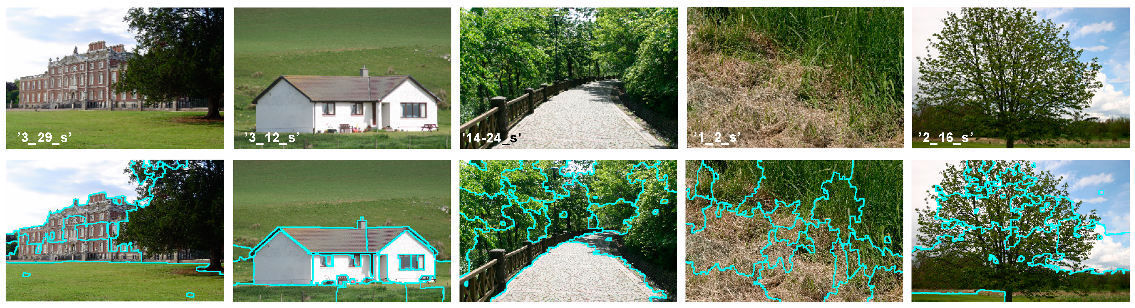 Sensors 20 06429 g007