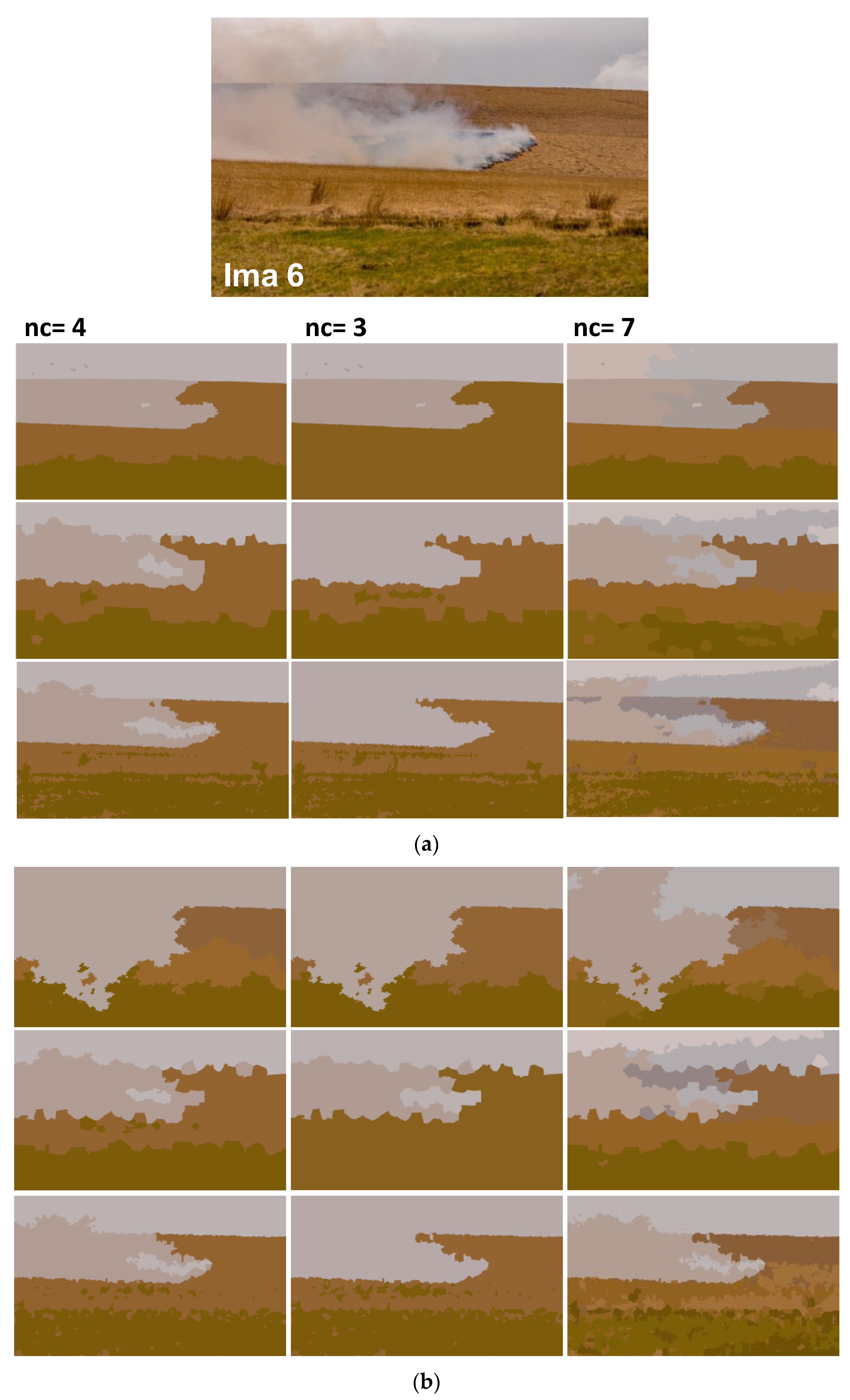 Sensors 20 06429 g019